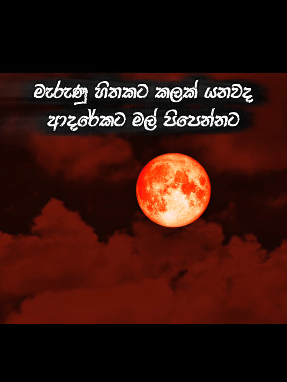 @🌌Stranger Traveler 🎶🎶✒️🎼
