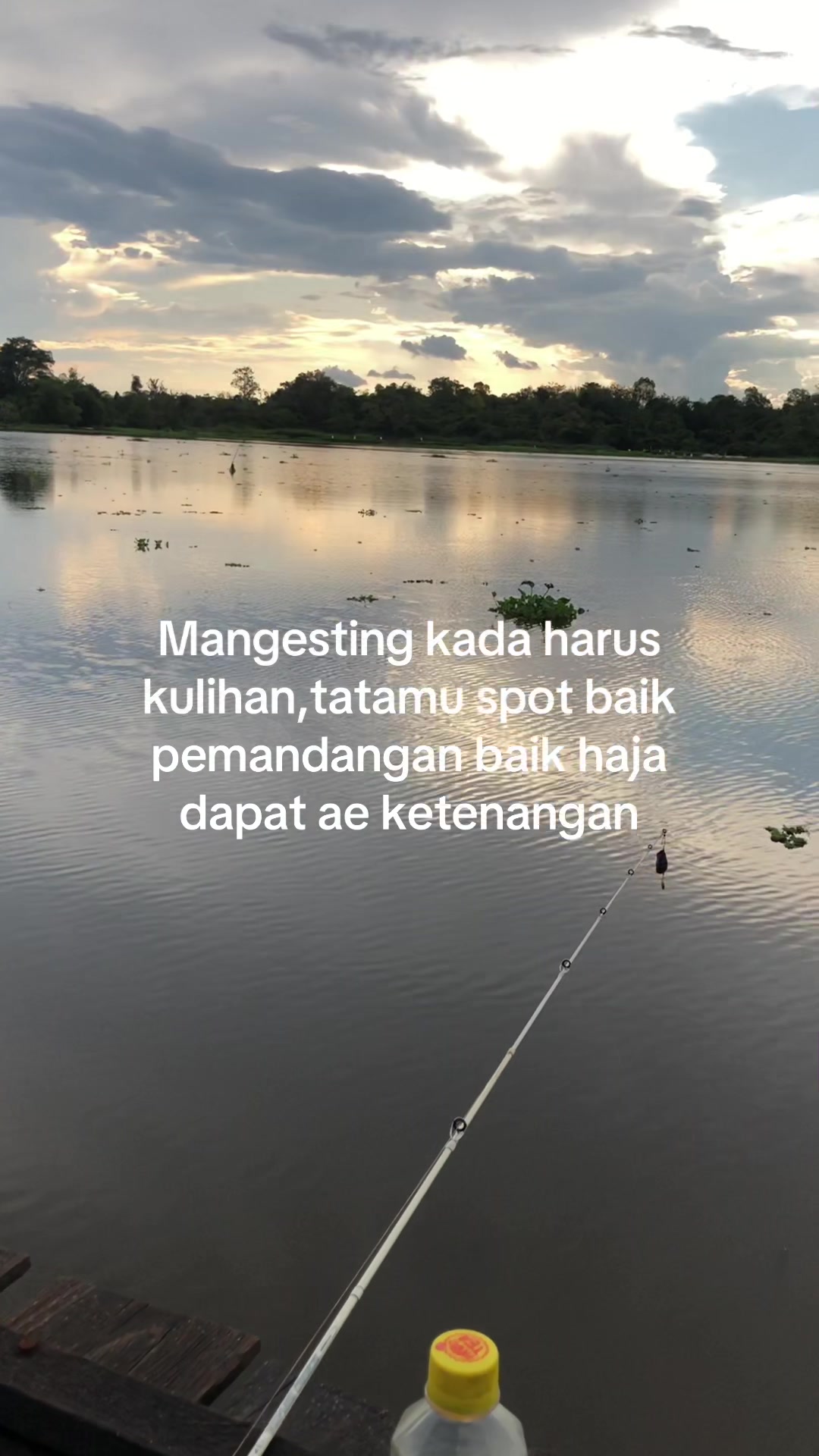 @Hayau tarus