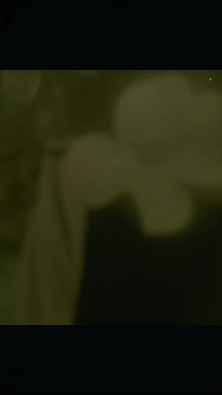 @𝔚𝔞𝔷𝔧𝔦𝔥𝔞~𝔍𝔞𝔫𝔫𝔞𝔱🎀