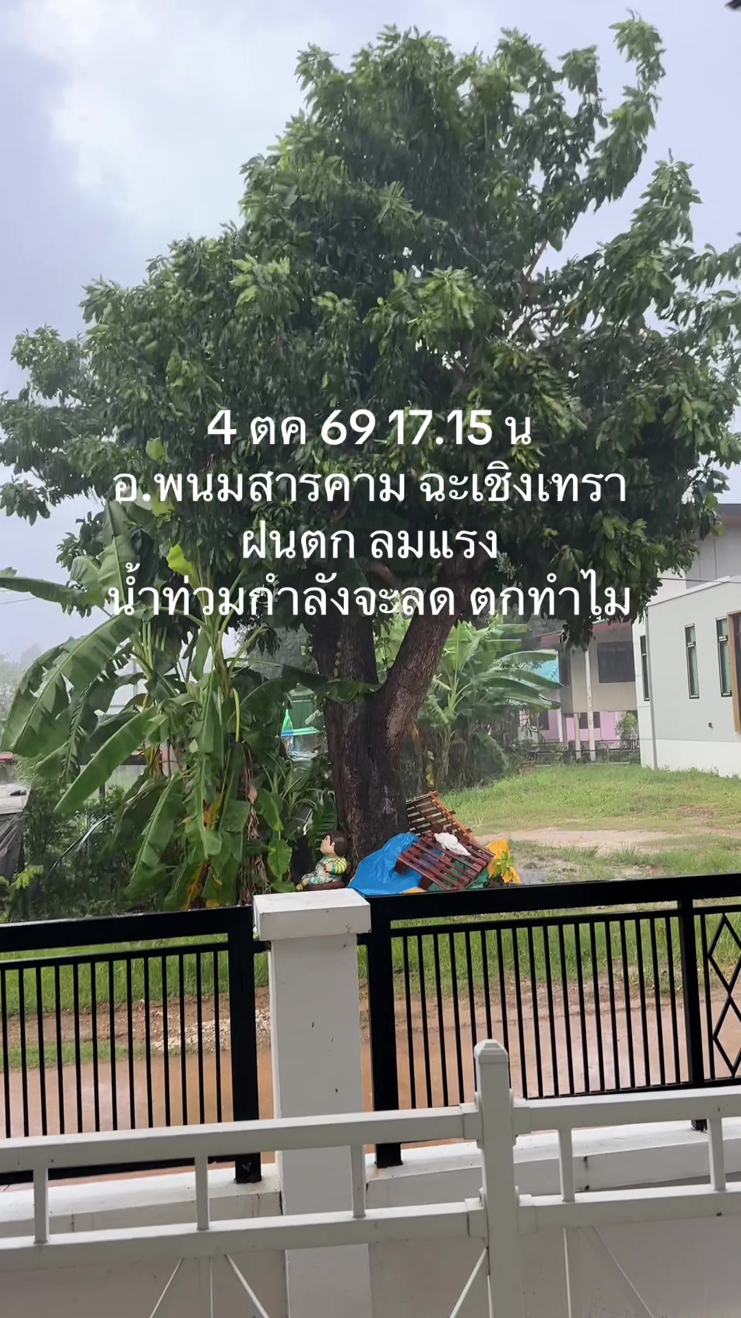 @ต้นอ้อที่ชอบรีวิว