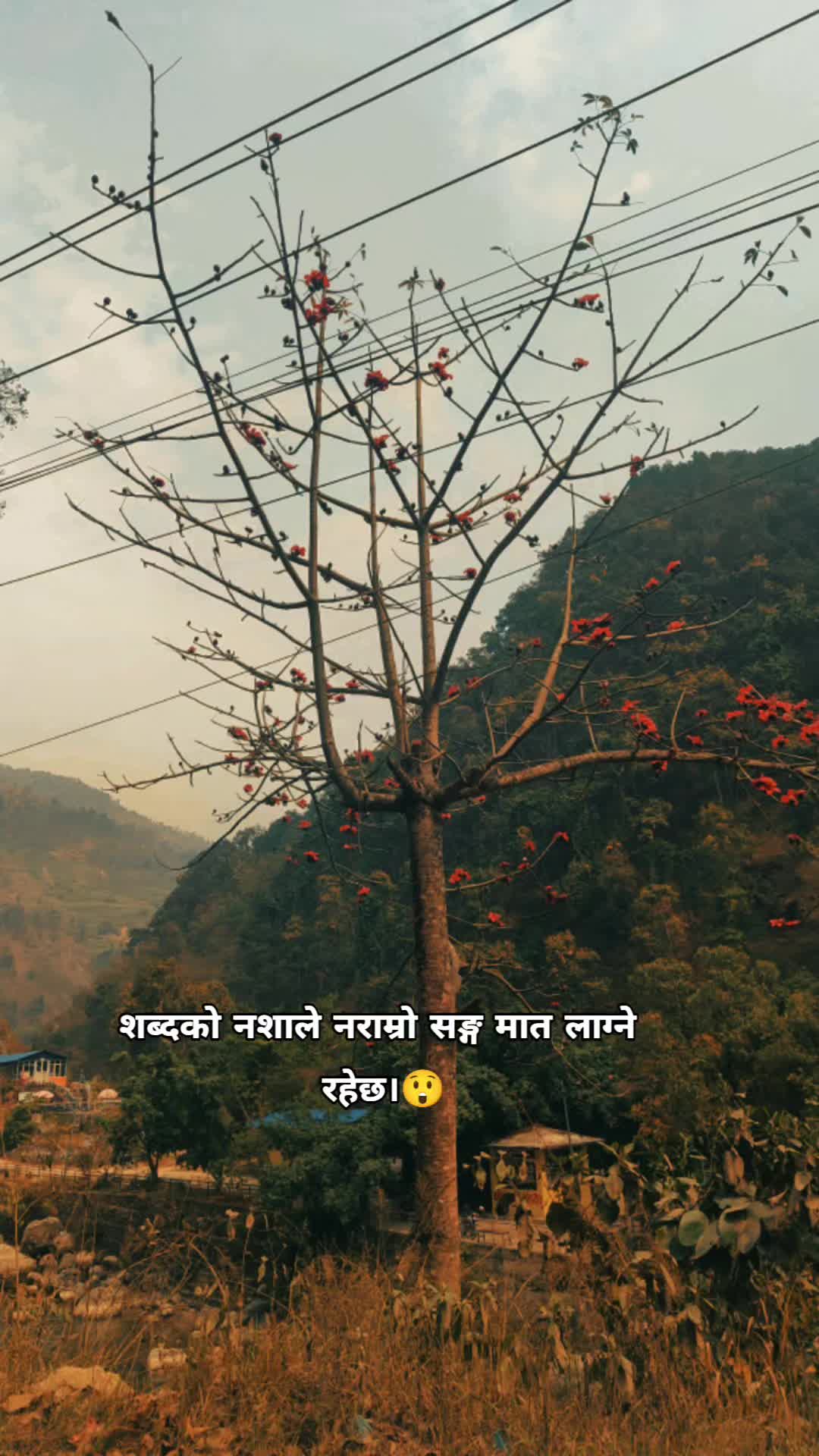@CEO🇳🇵