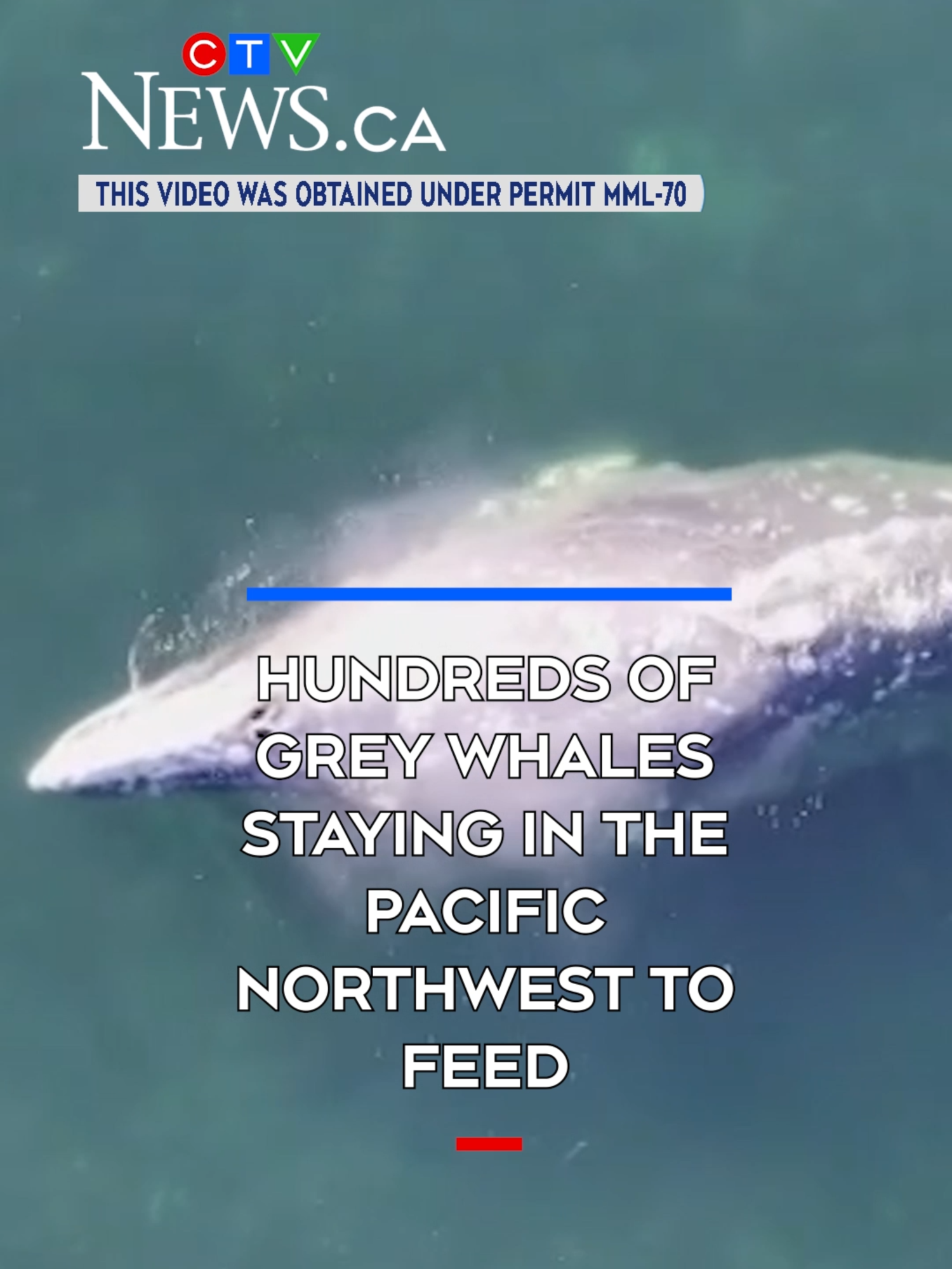@CTV News Vancouver Island