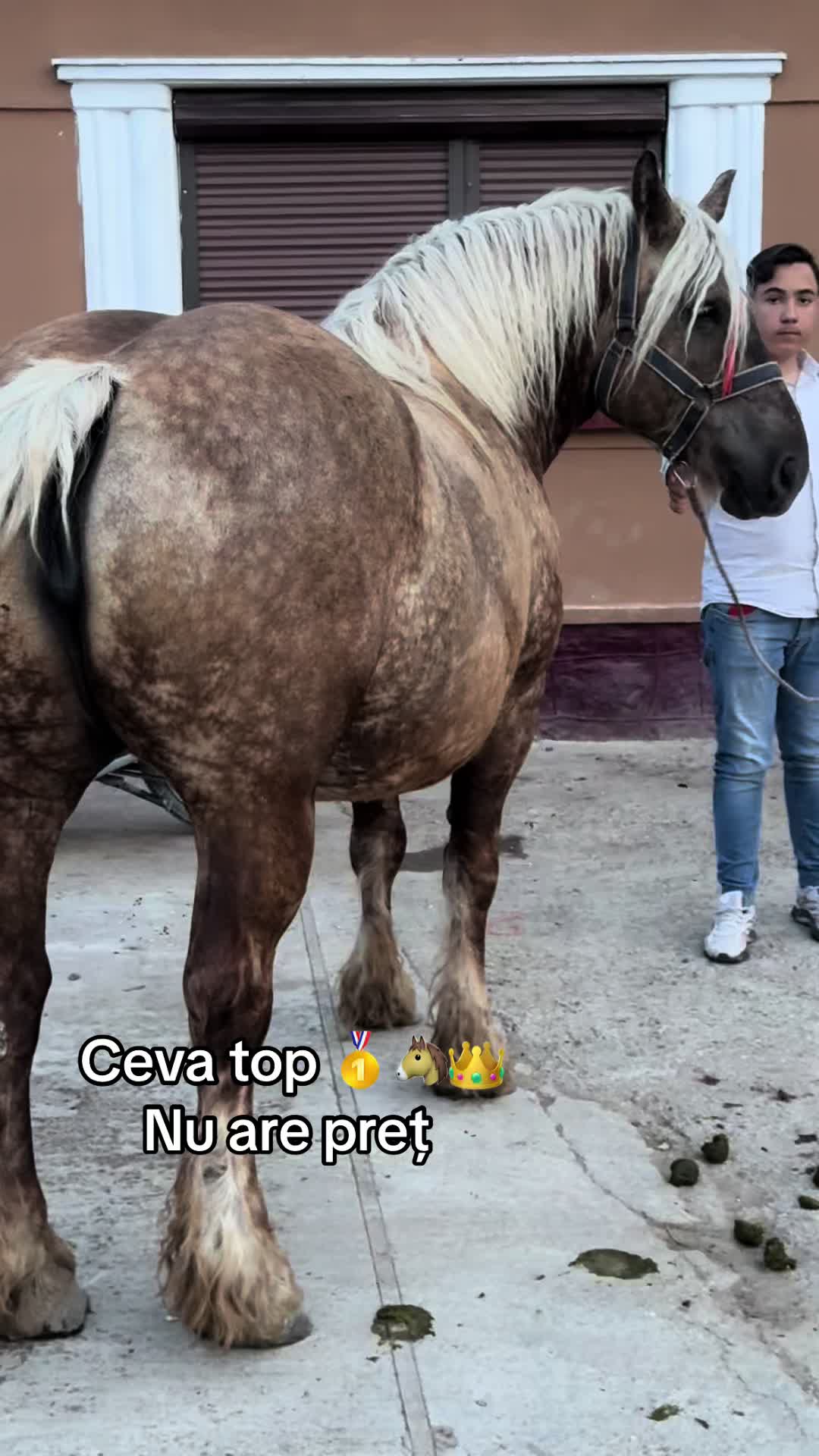 @🐴Spartanu🐴