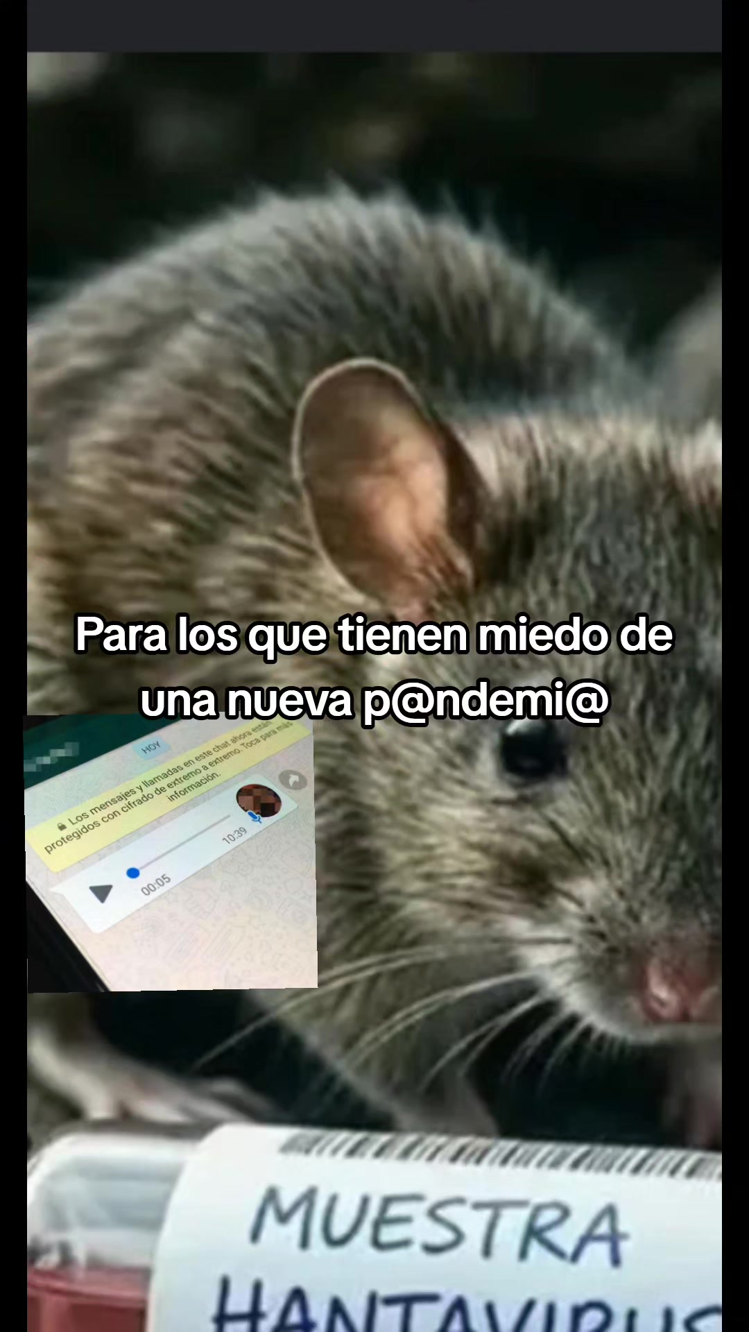@Jhon 5