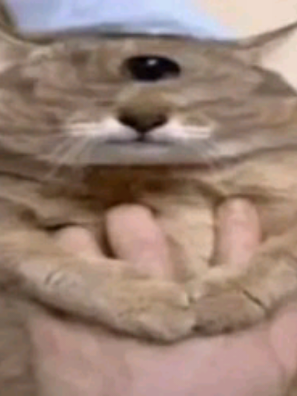 @#โ๐ฅ๐๐๐ญ๐ฒ\๐๐๐๐๐ช๐ฎโ