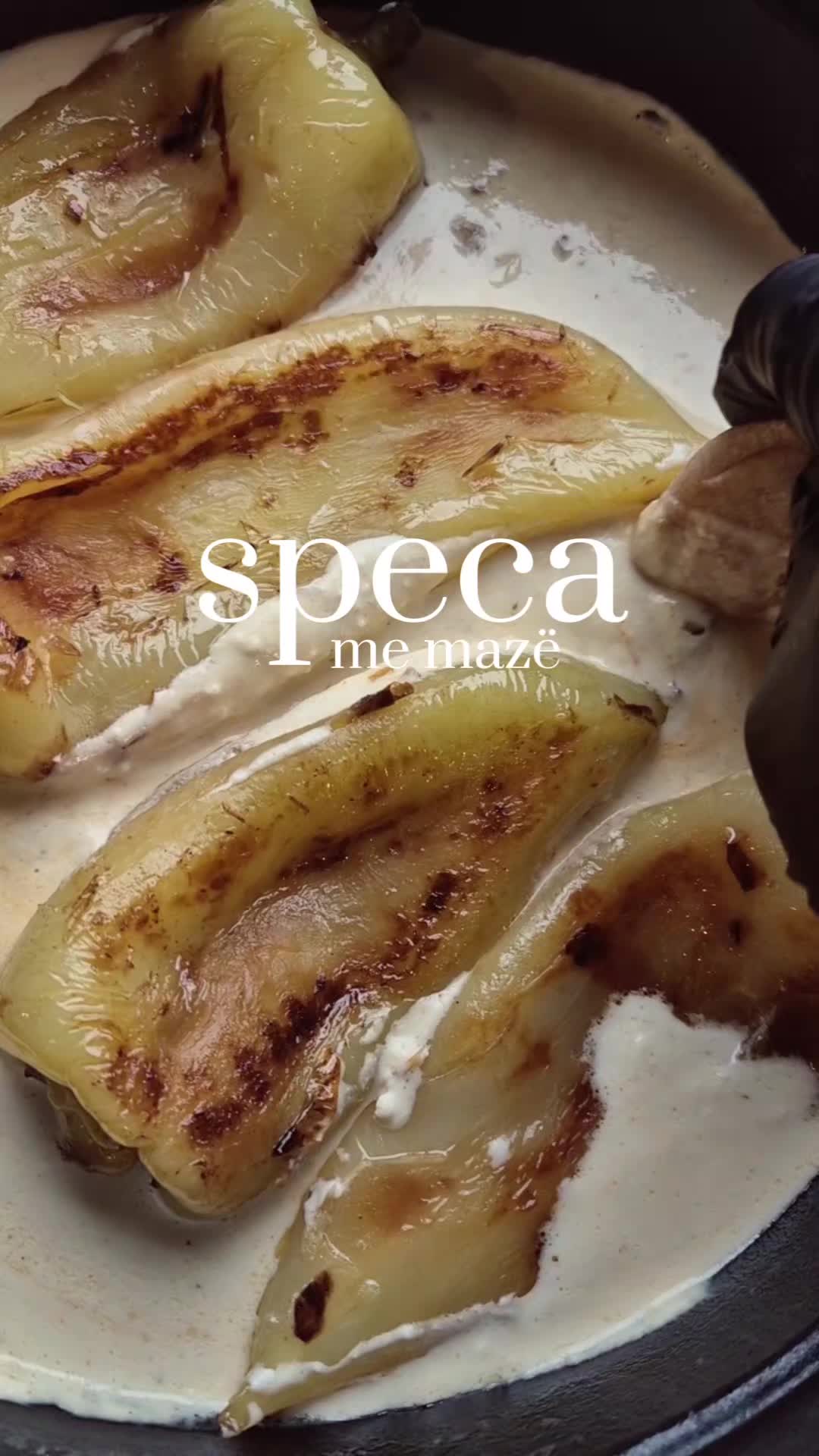@Noplatelikehome