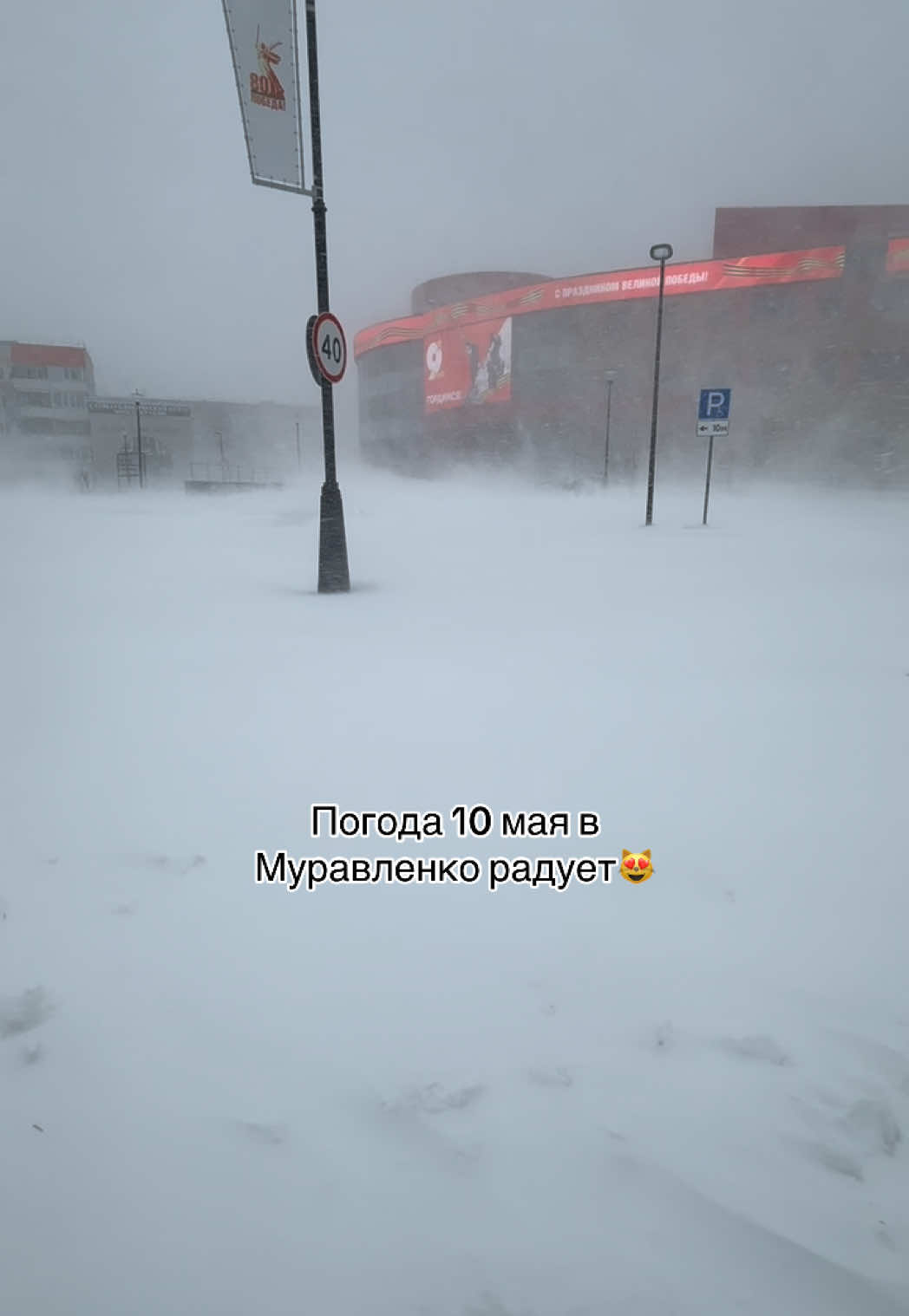 @Alenk_Lyamaeva