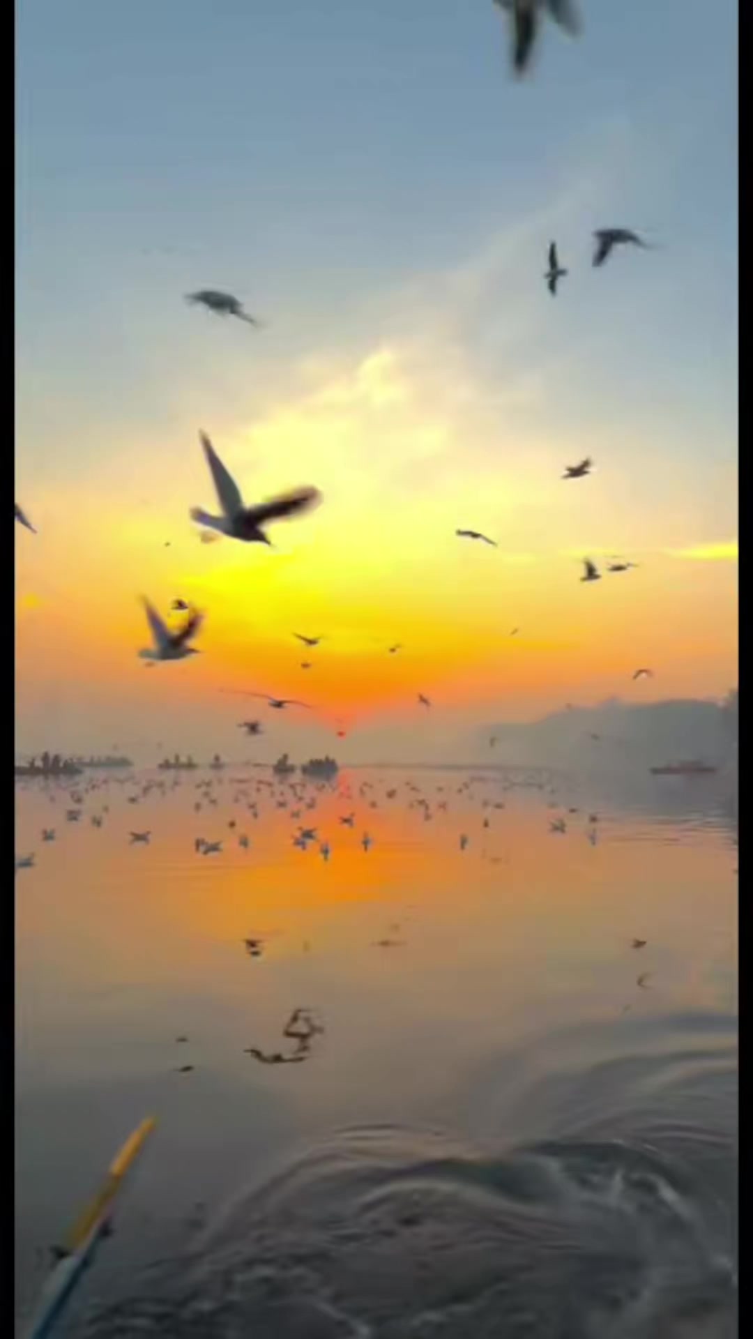 @🕊️💘, তানহা,,,,,ইসলাম,,🌸🥂🎀