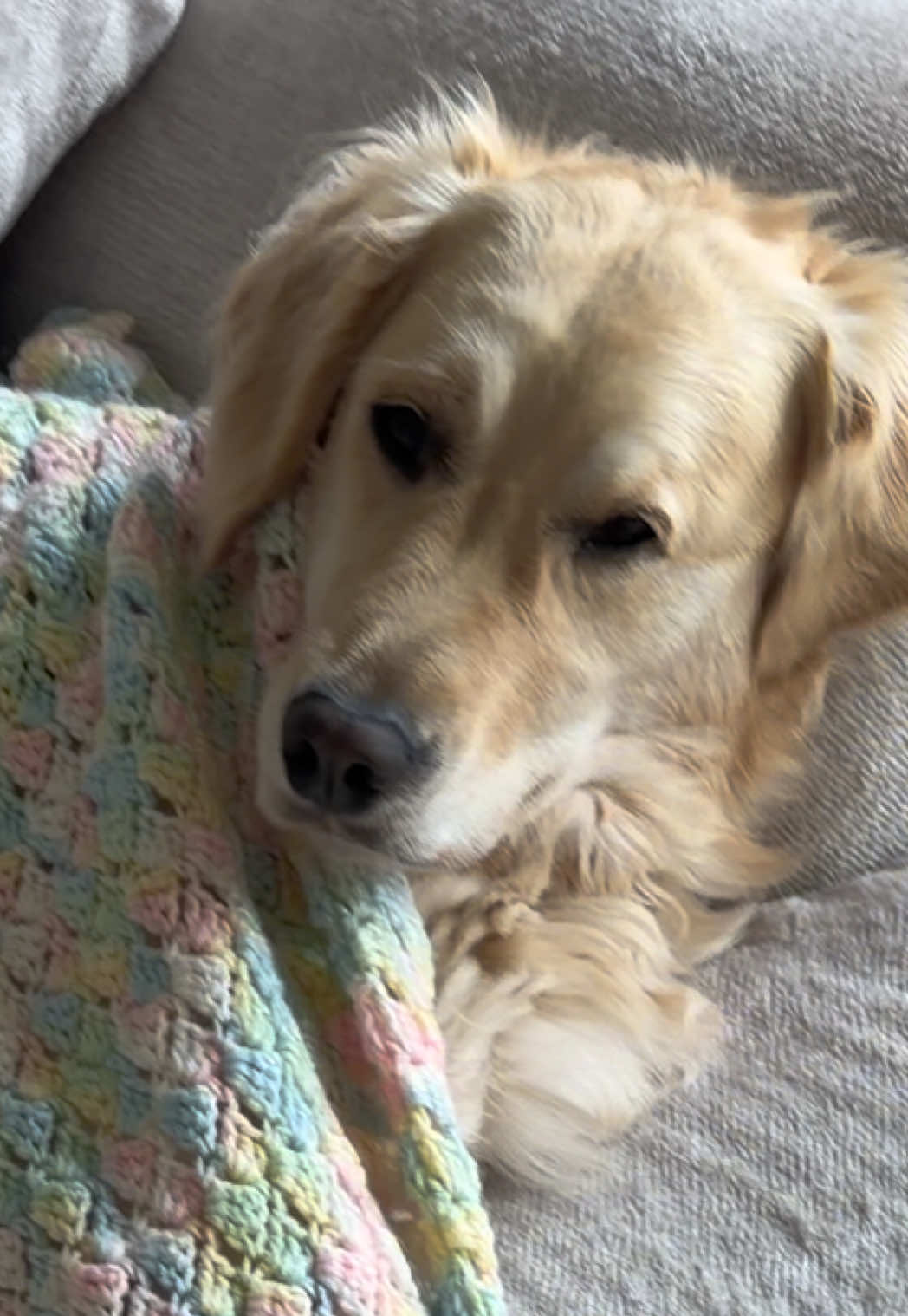@Chlo&egrave;🐾