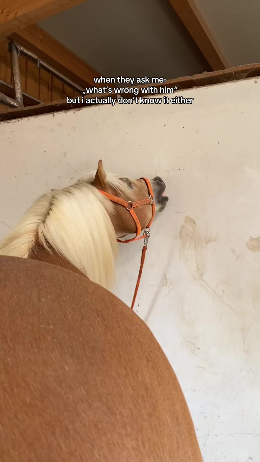 @idaxeq