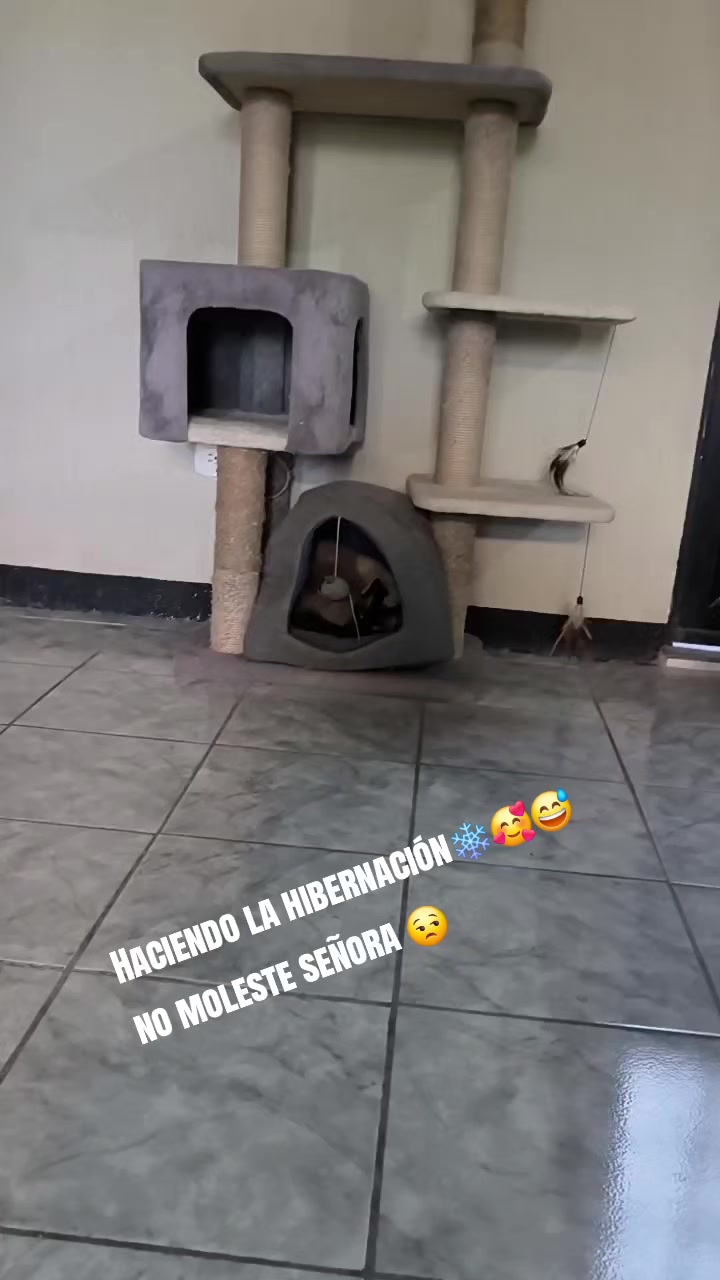 @Clau&Tom😻