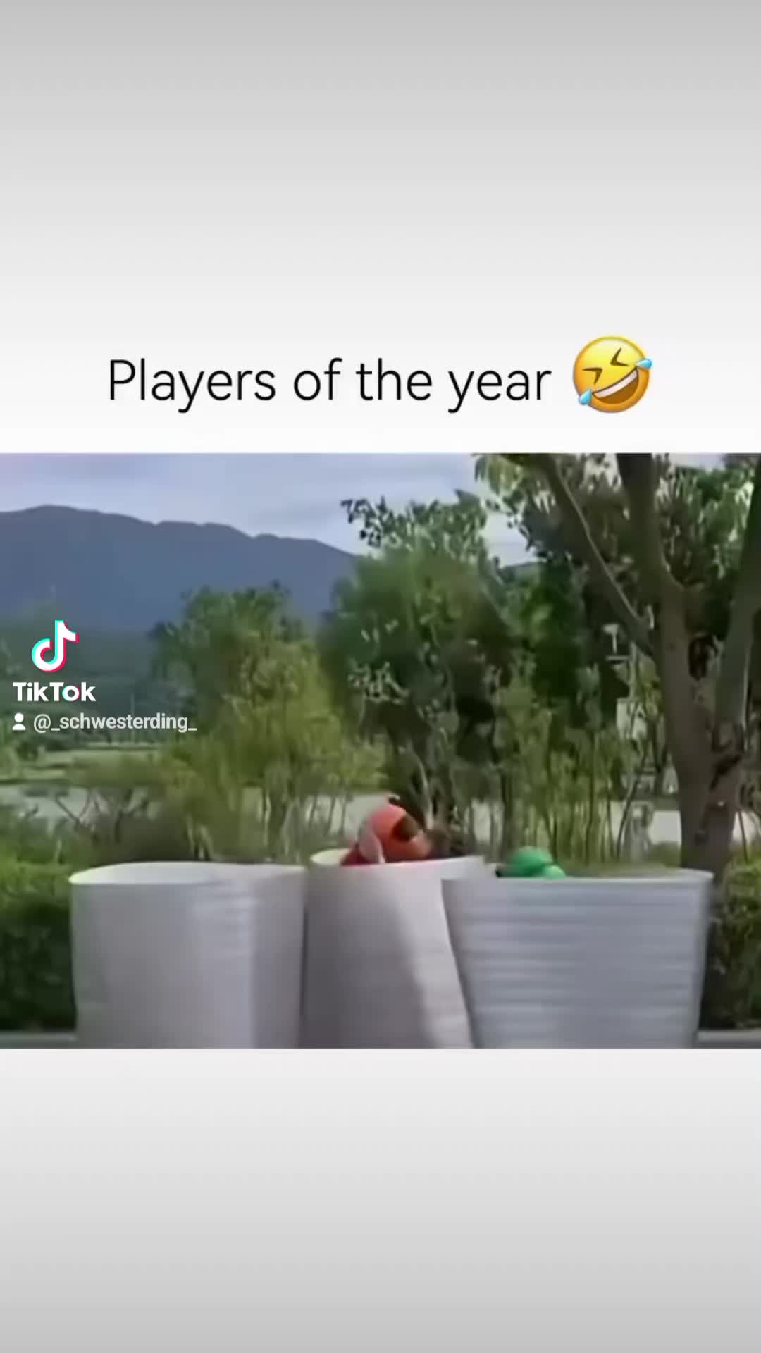 @Wetzi