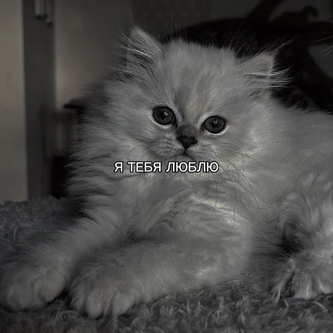 @ХХИКА