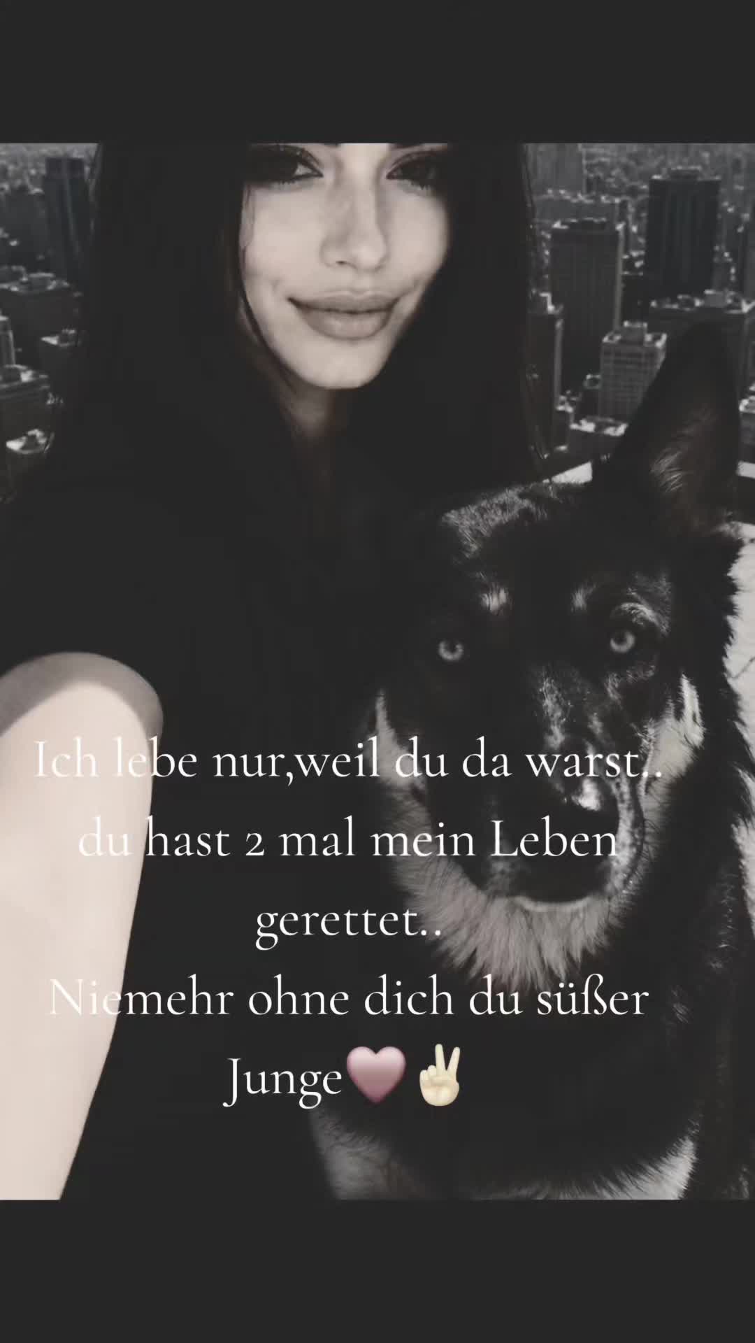 @Stimme des Meeres💙