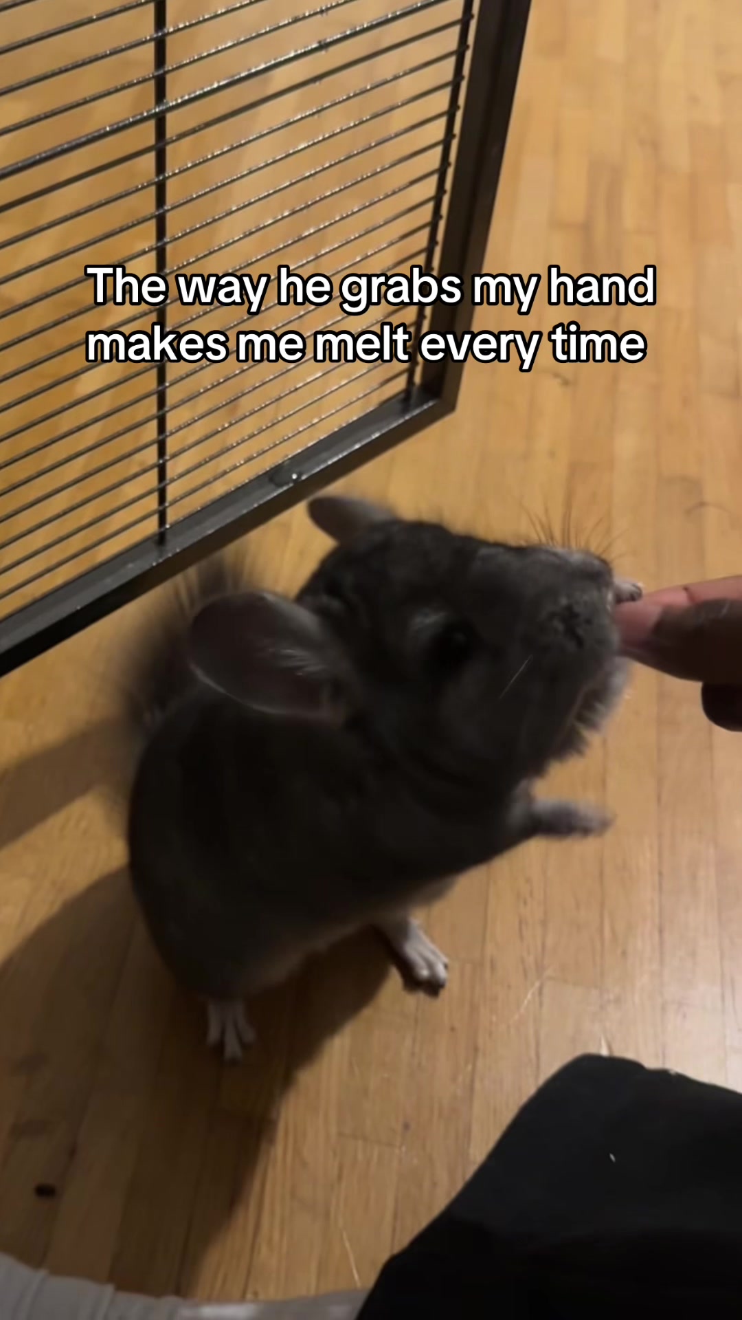 @BANDIT & STRIPE