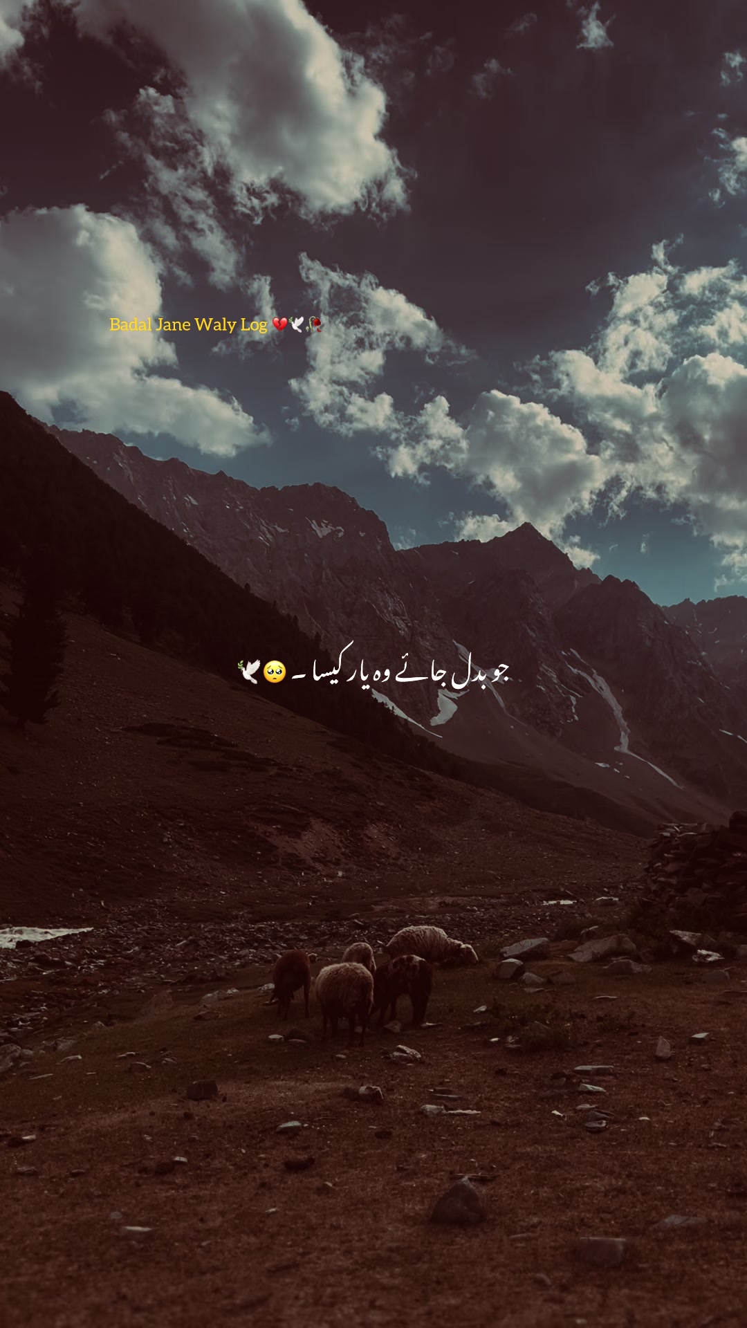 @Khattak 01:)🦅