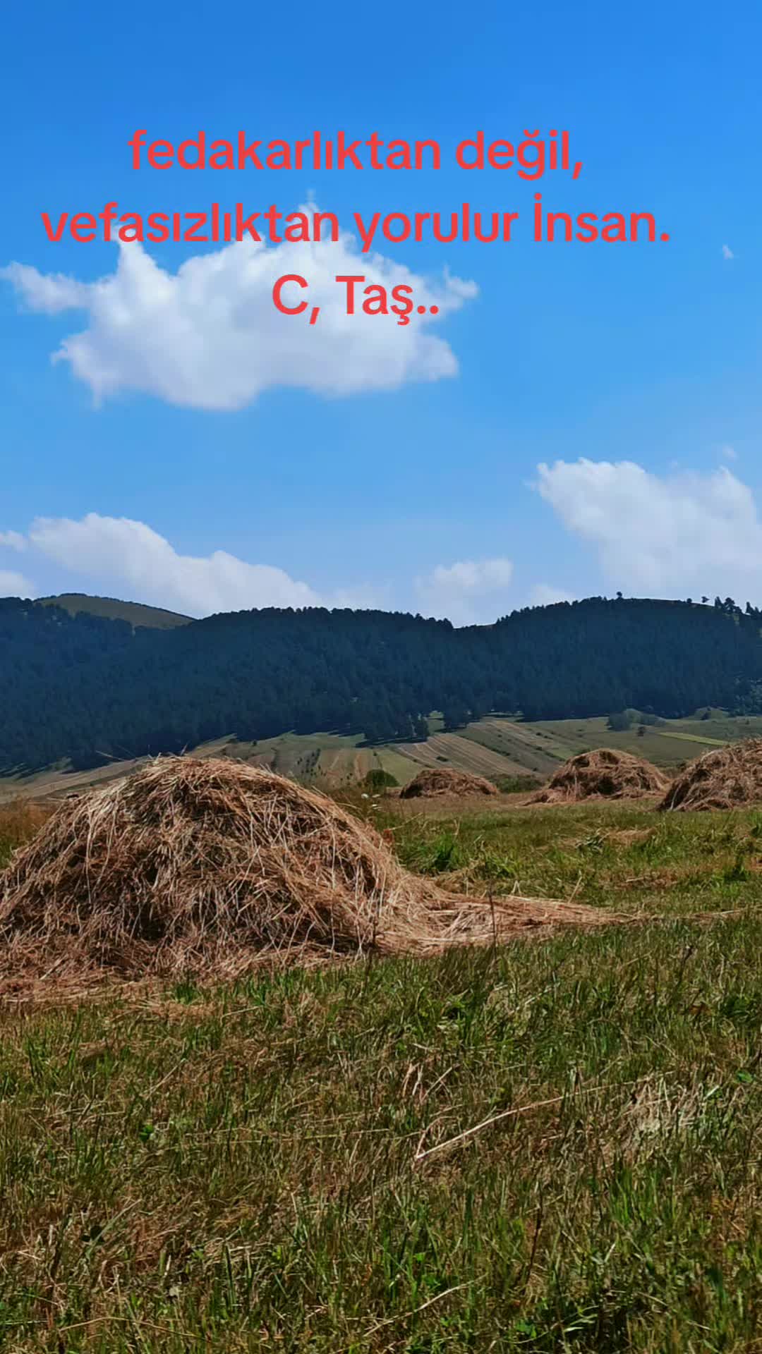 @Cengiz Taş