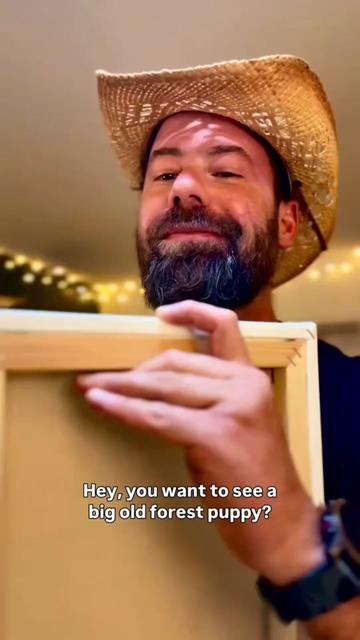 @MEL