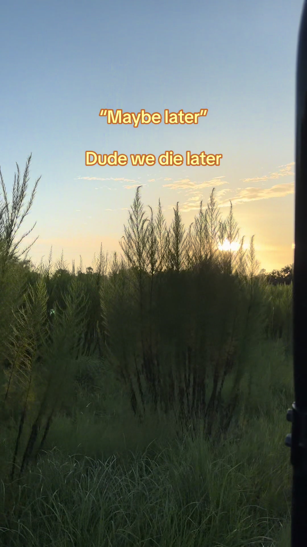 @Ellie Vander Baan