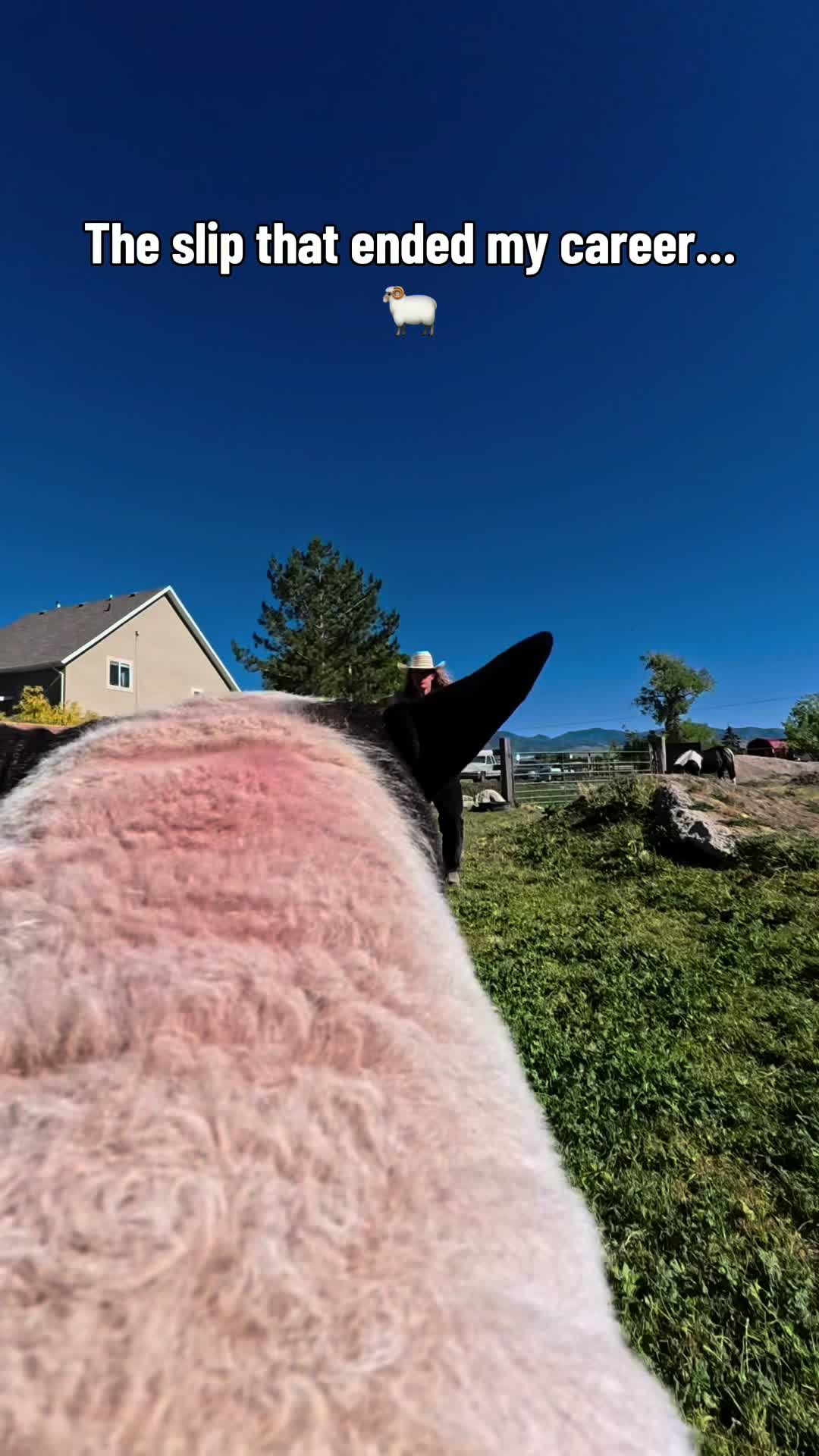@happi acres
