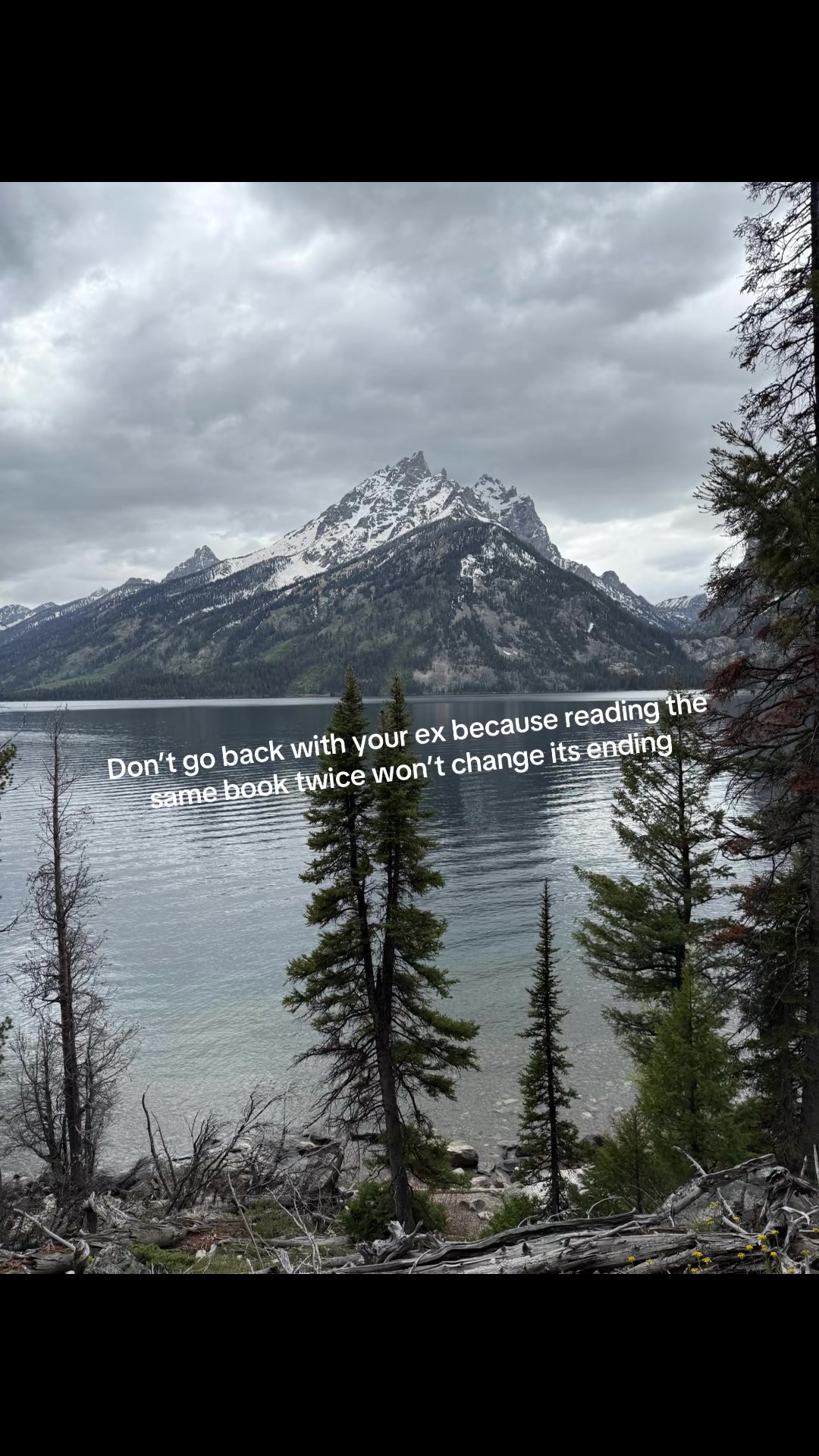 @quotes of the day with ana&jax