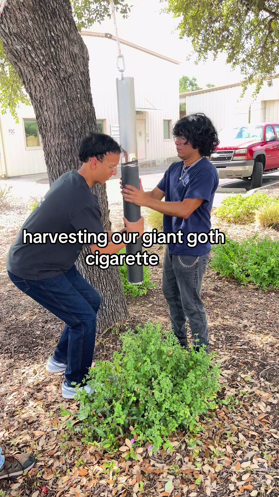 @little miss engineer