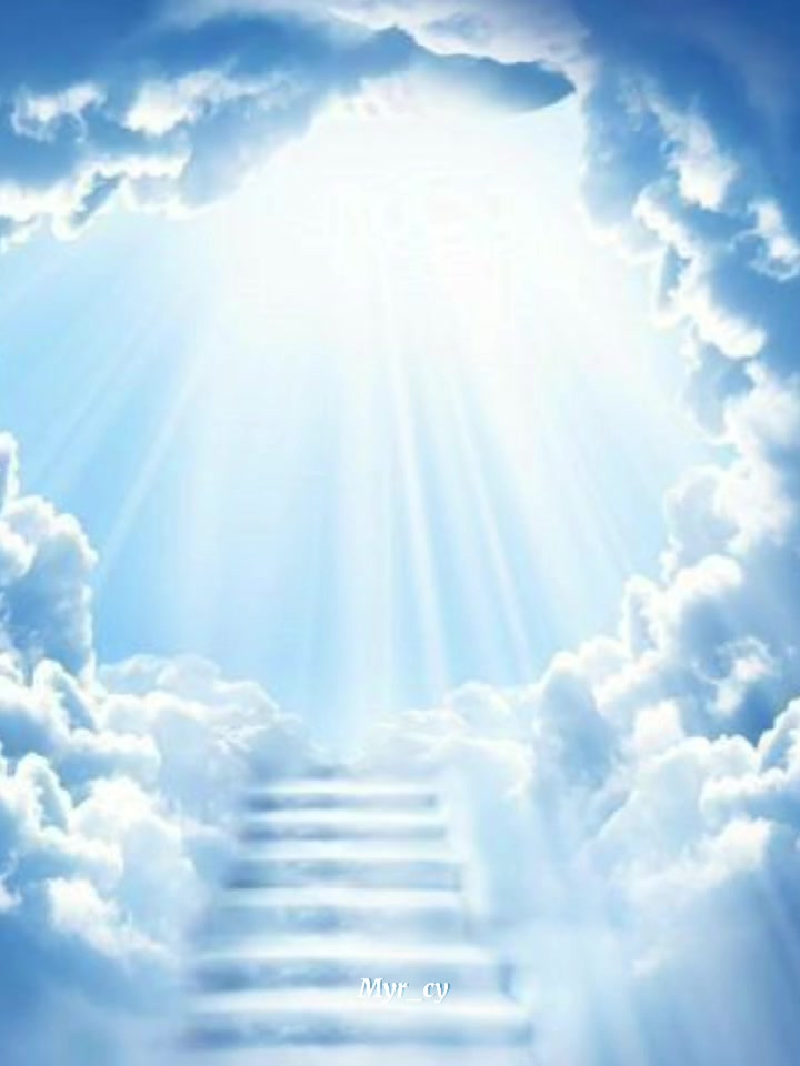 @𝑽𝒂𝒏𝒆 ☪