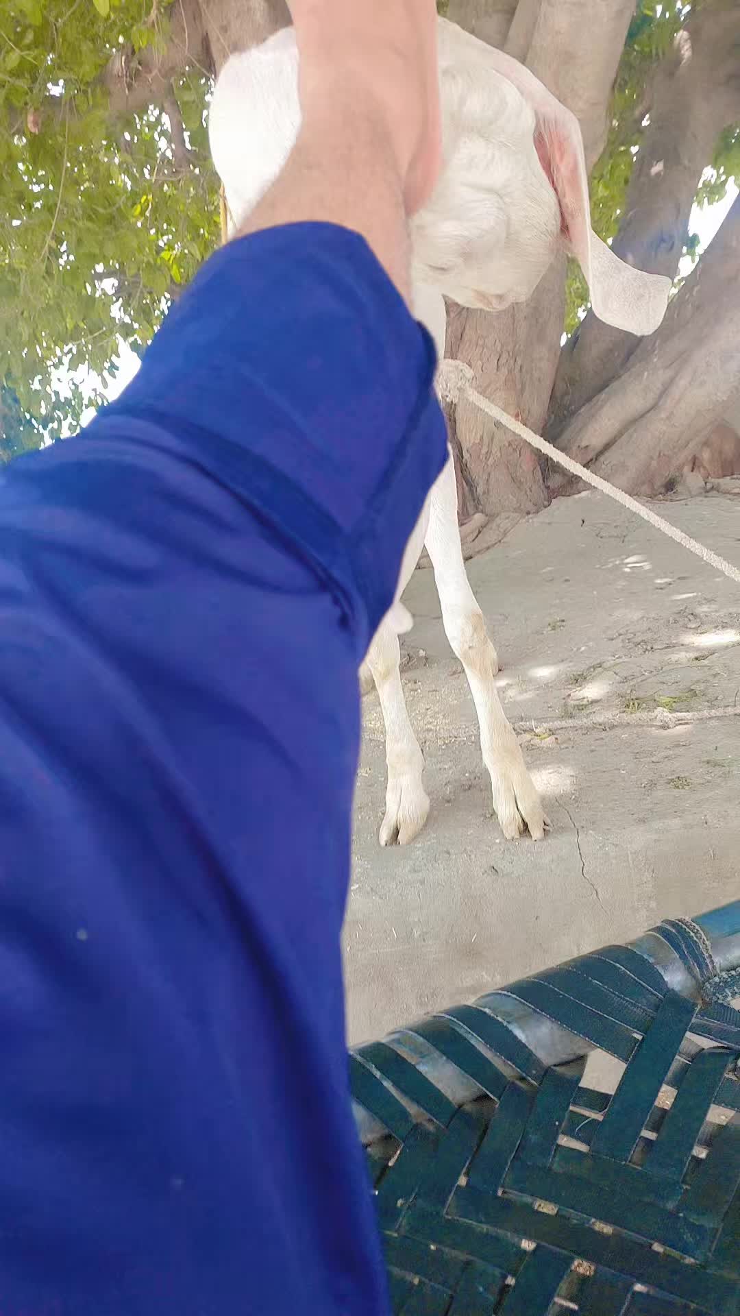 @Irtaza