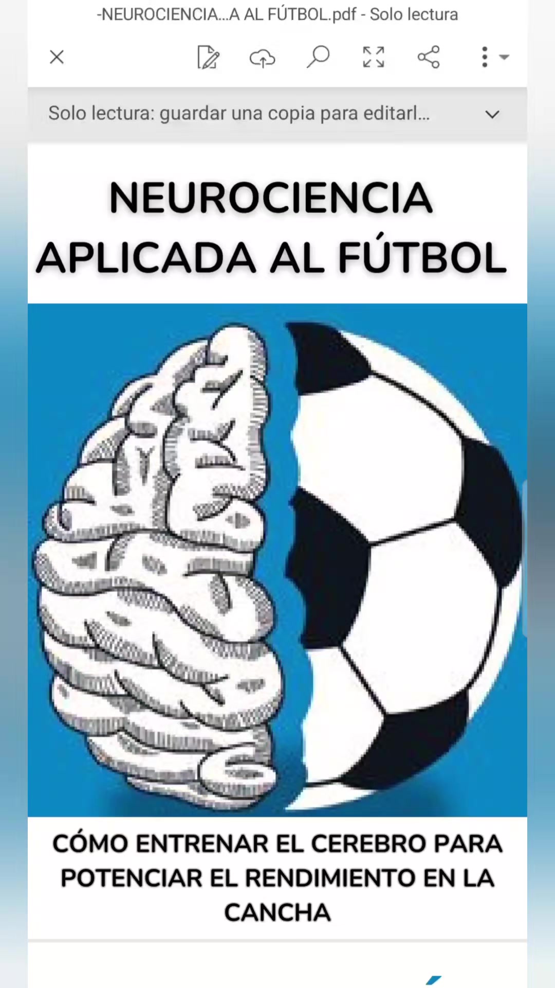 @academiadeformacion.futbol
