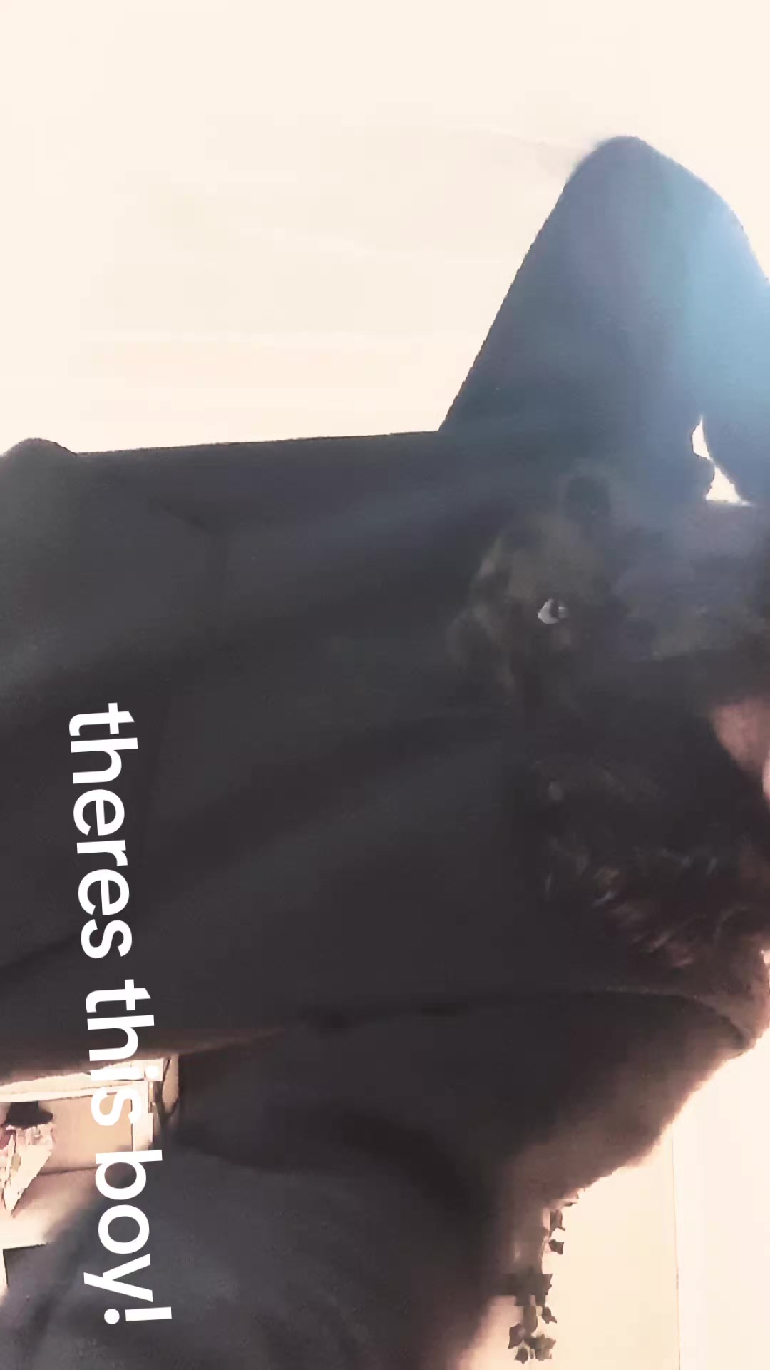 @🧿🐾nyx_on_paws🐾🧿