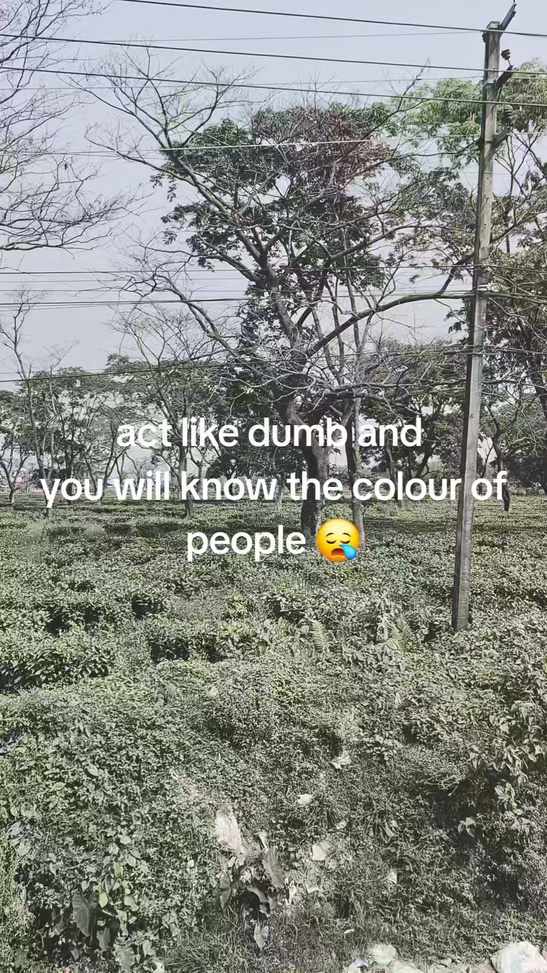 @No More😩