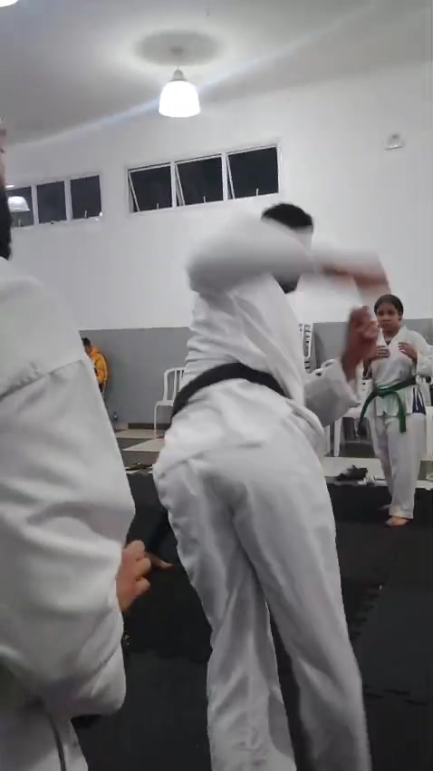 @Tavares TKD Fight