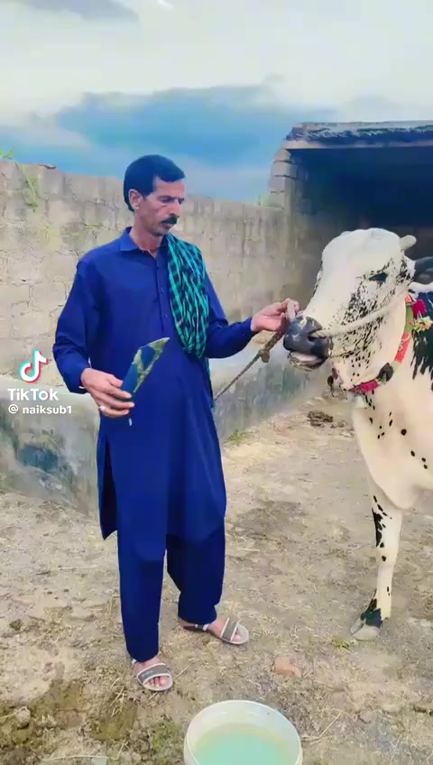 @ملک طیب عوان۔