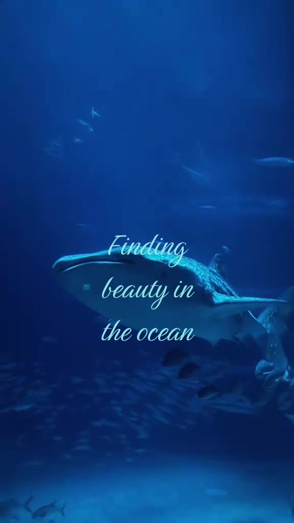 @Sh|شَ 🌊🪷࿐ ౨ৎ ⋆ 。˚
