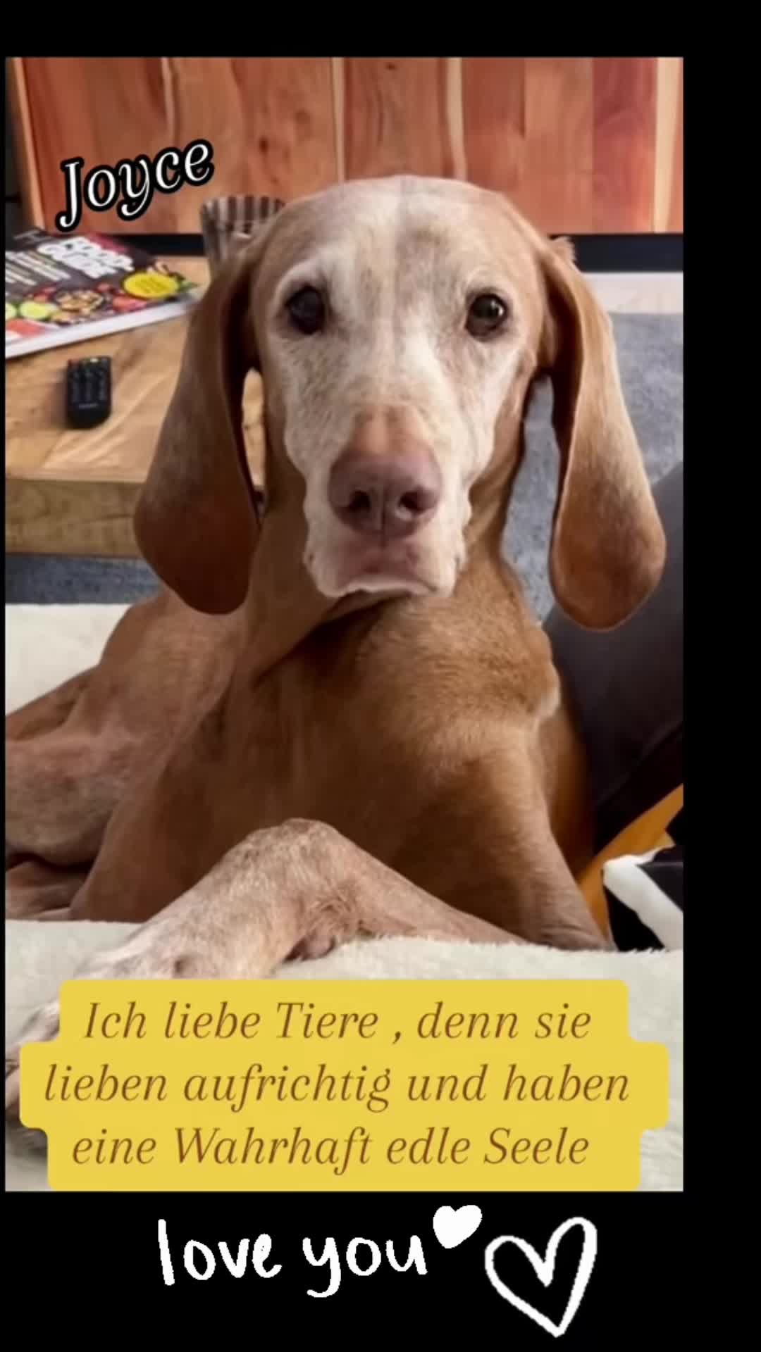 @❤️Ulla & Tiere❤️