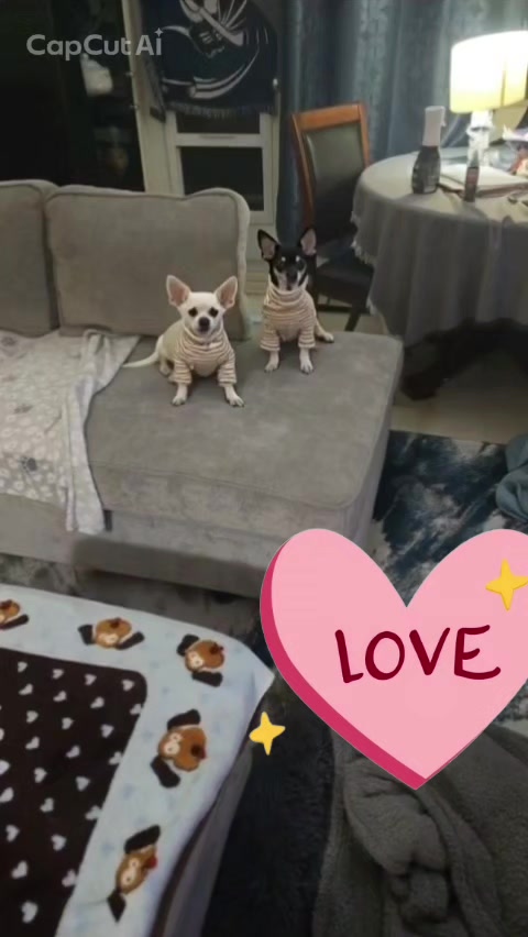 @userdogcharlie21