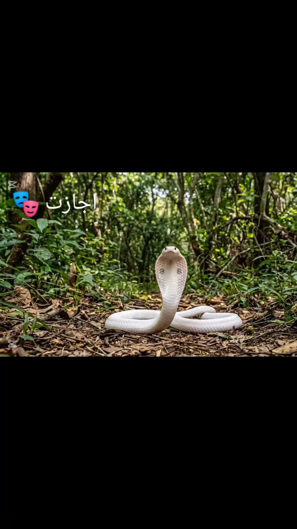 @🌝فخر کہتے ہیں 🫠