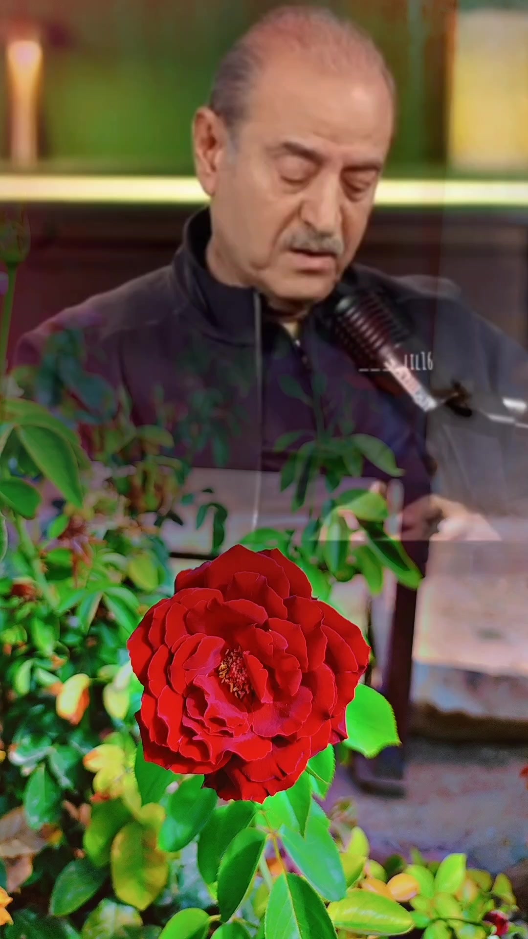 @عبير الورد🍃❤️