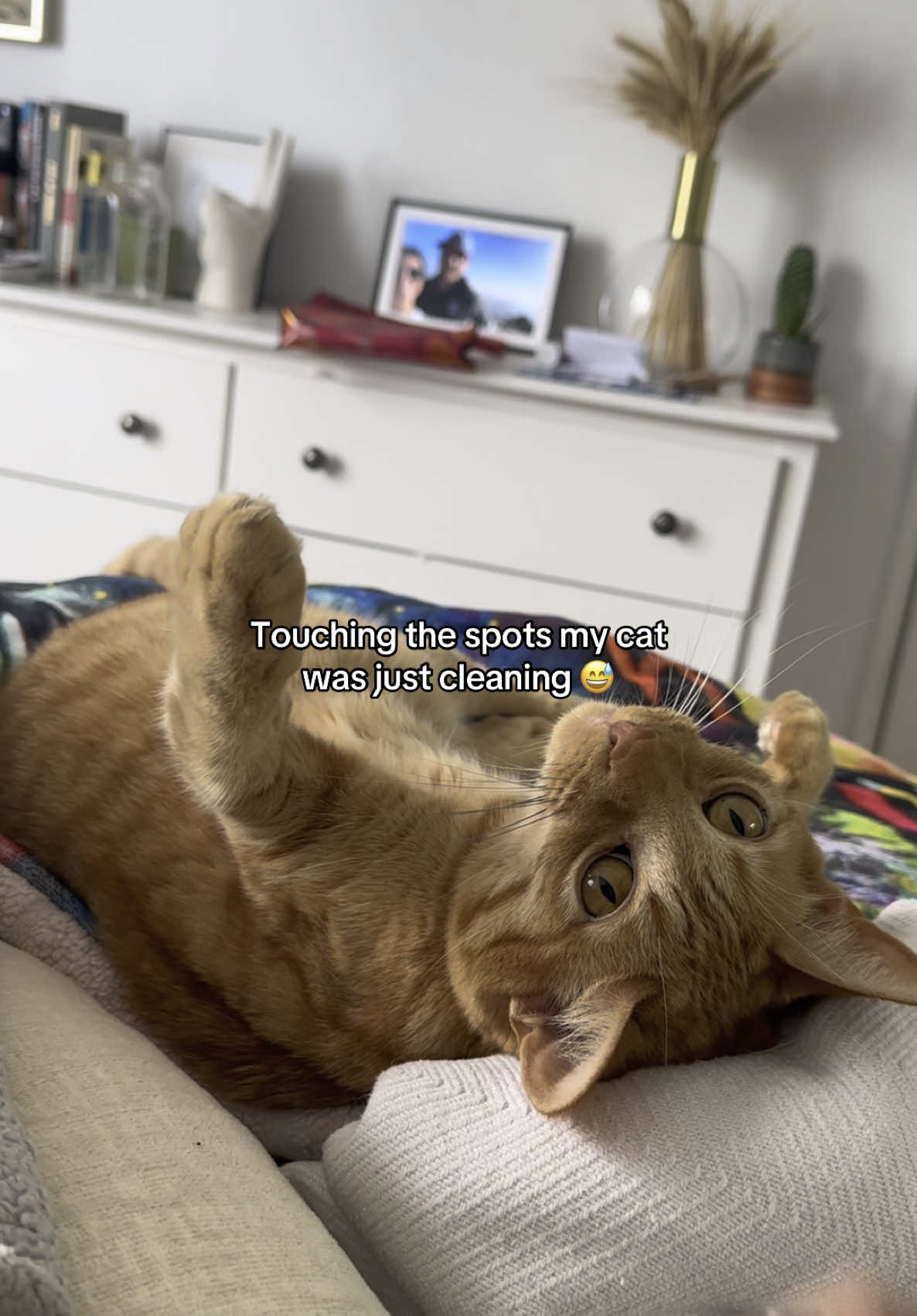 @Kiara Burns I Fitness + 🐈
