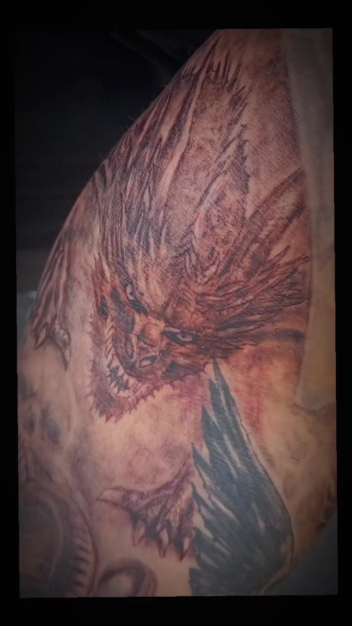 @giobuitron