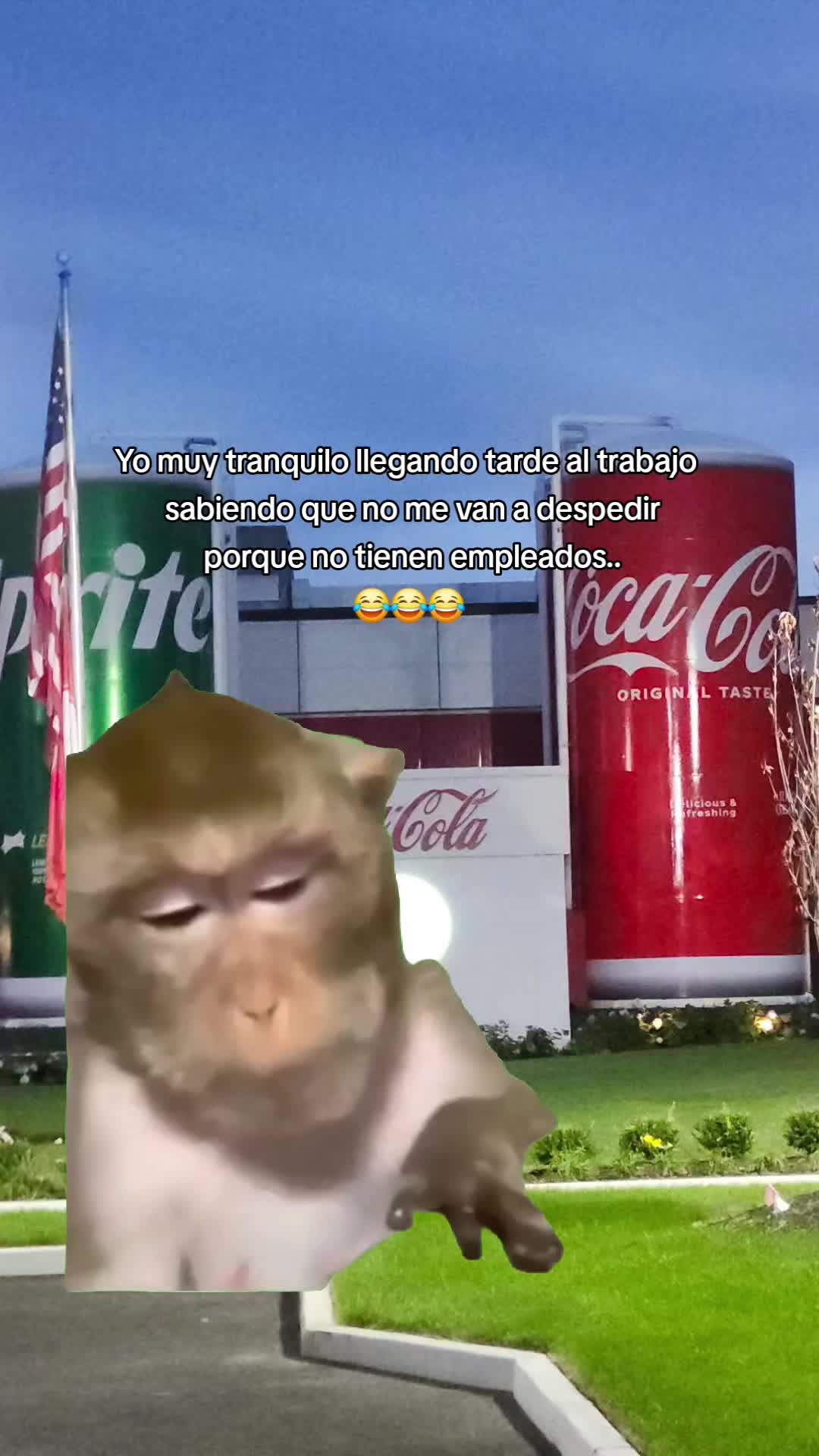 @Carloszhny593