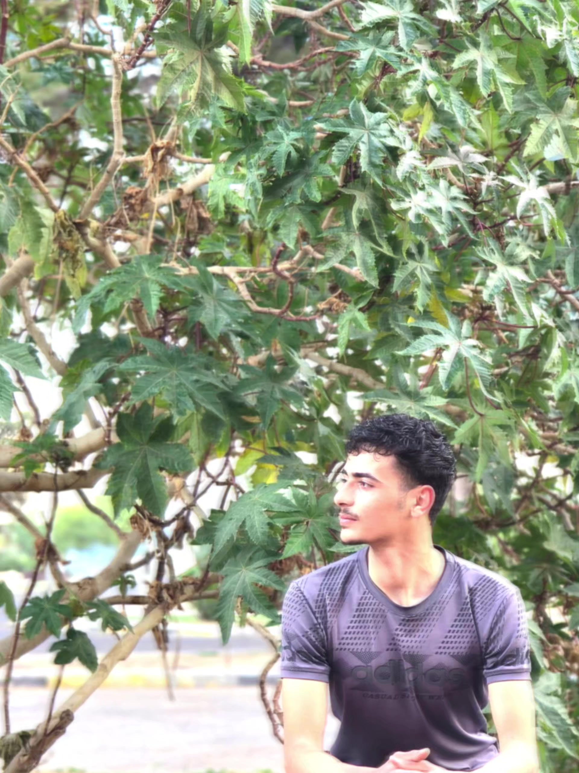 @HAMZA|حـمـزة