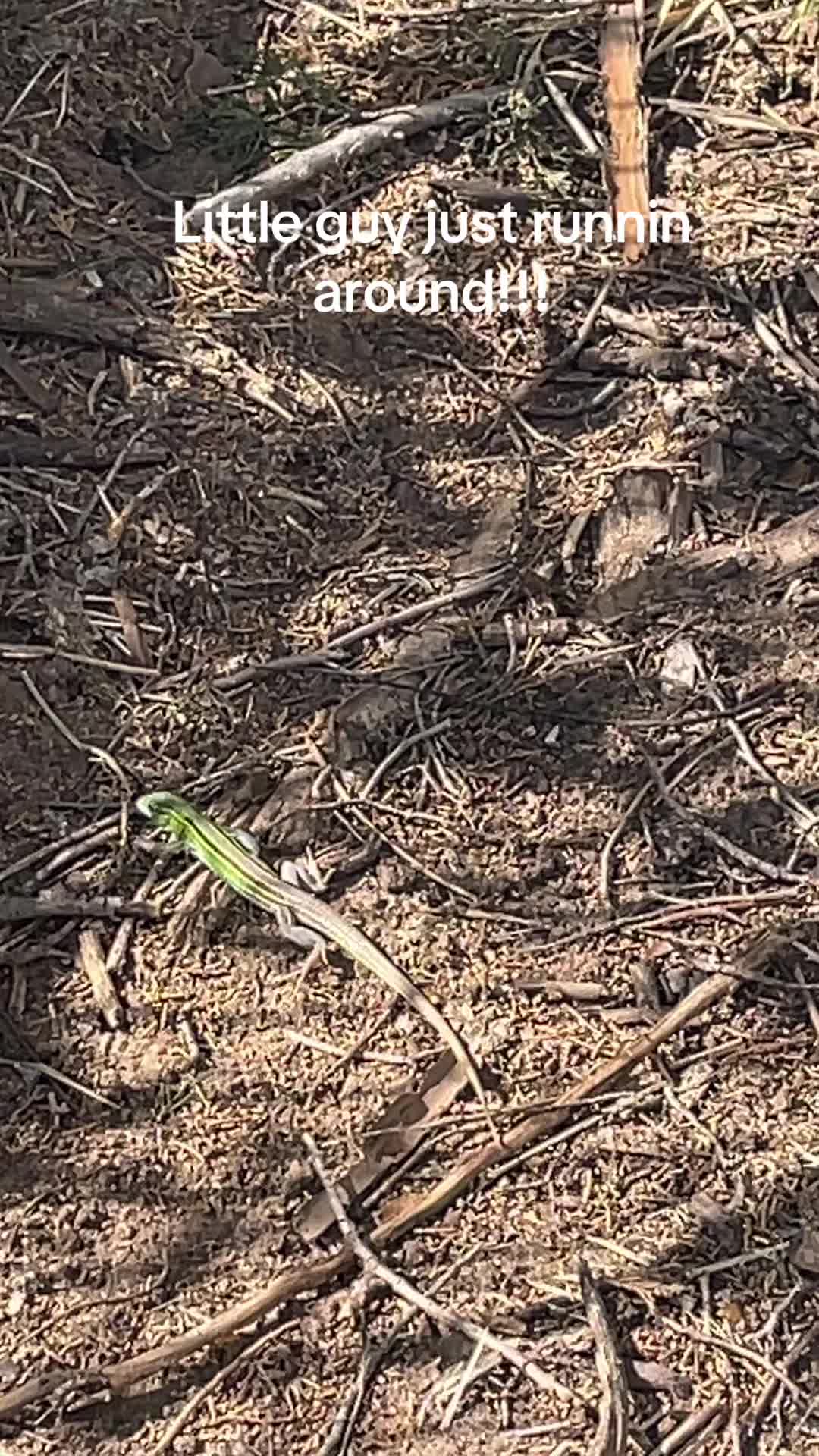 @K9RickyBobby109