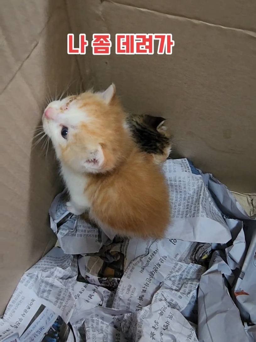 @심심해