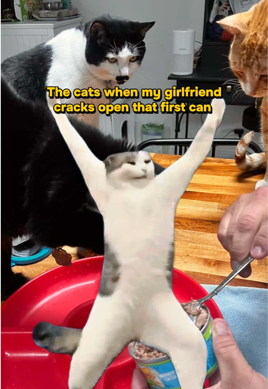 @Trevinsherbsandspice