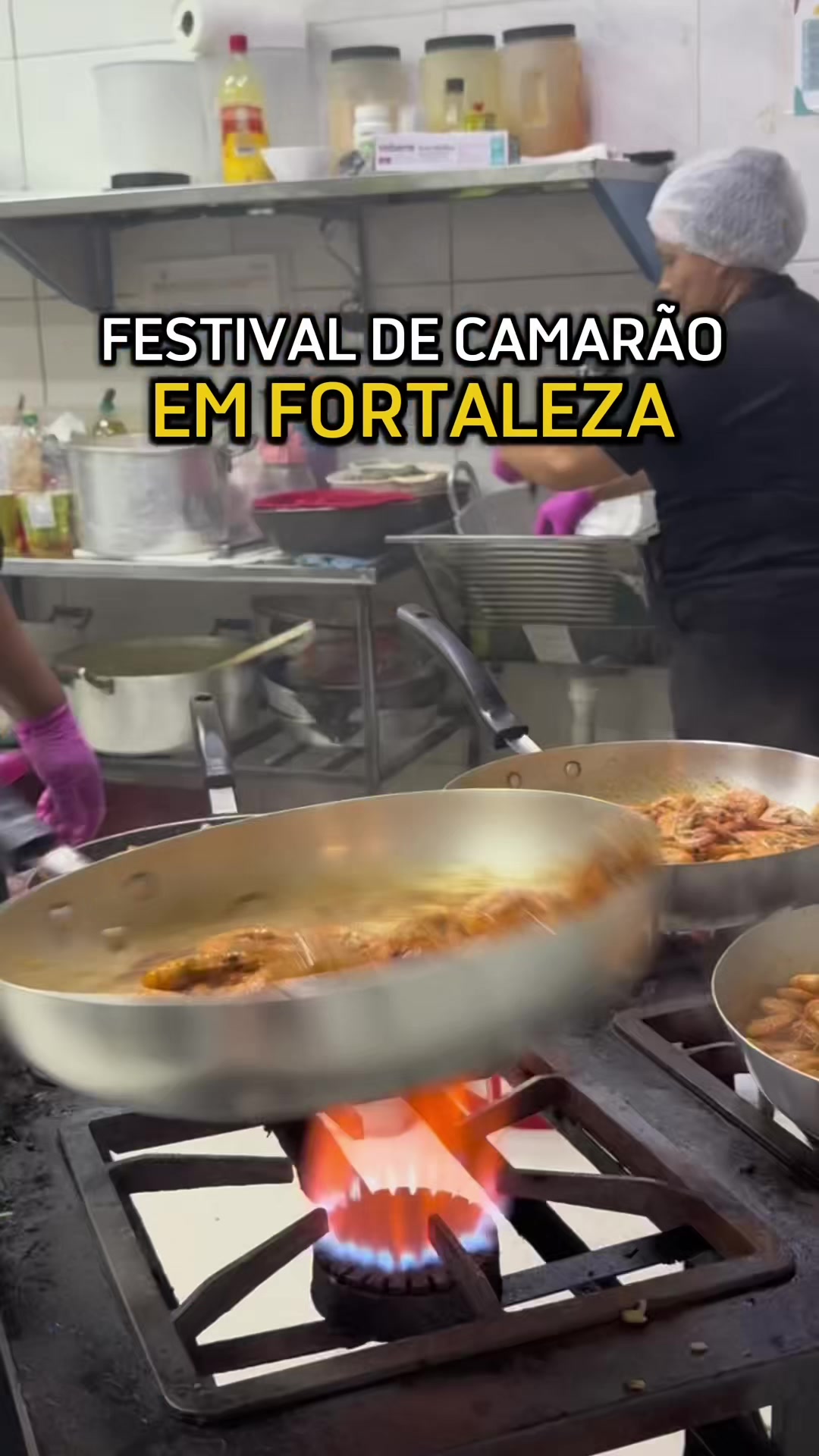 @botecodochokyto
