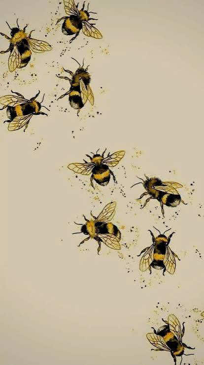 @bᵤgₛ 🐝🪽🫂