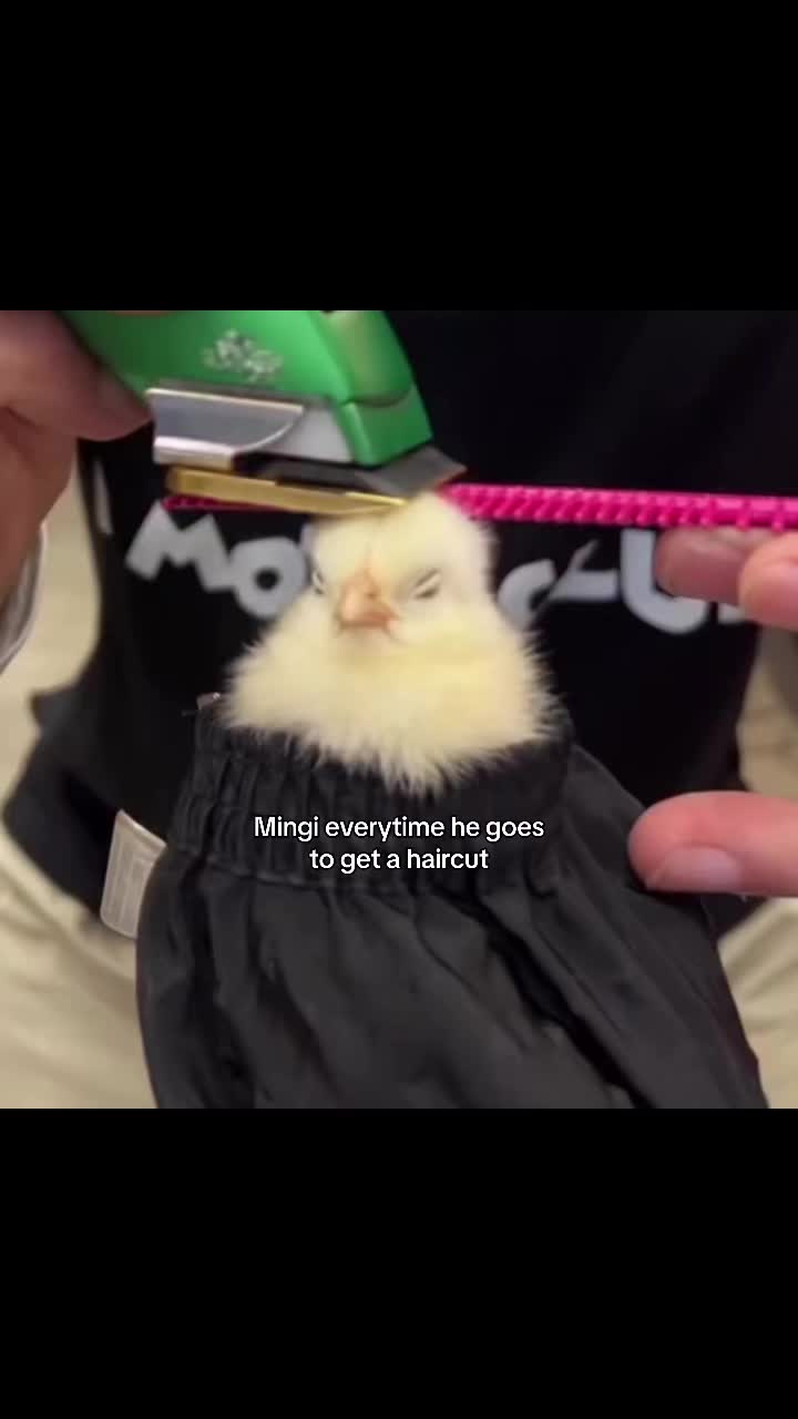 @ִ⋆˚࿔ ᴀɴᴀ 🧸ྀི ༘⋆