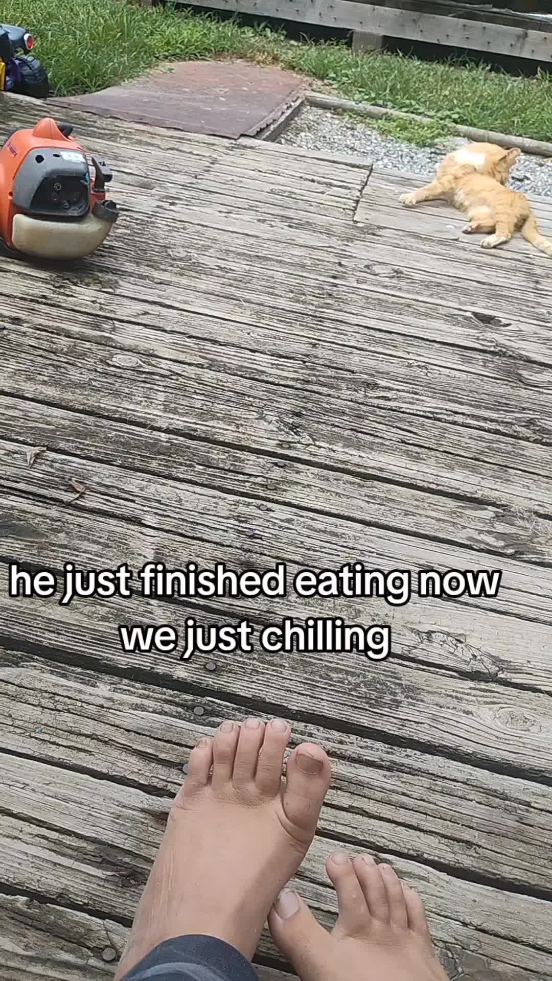 @DarkCrys