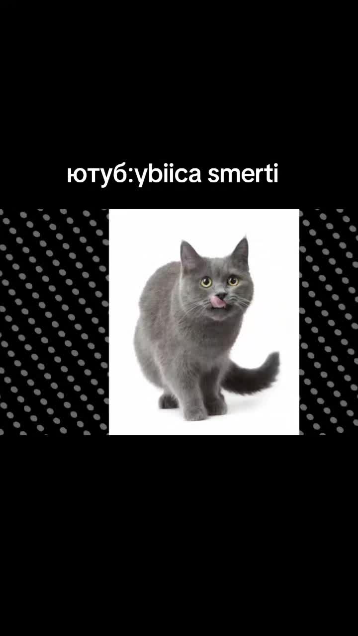 @sAmmka